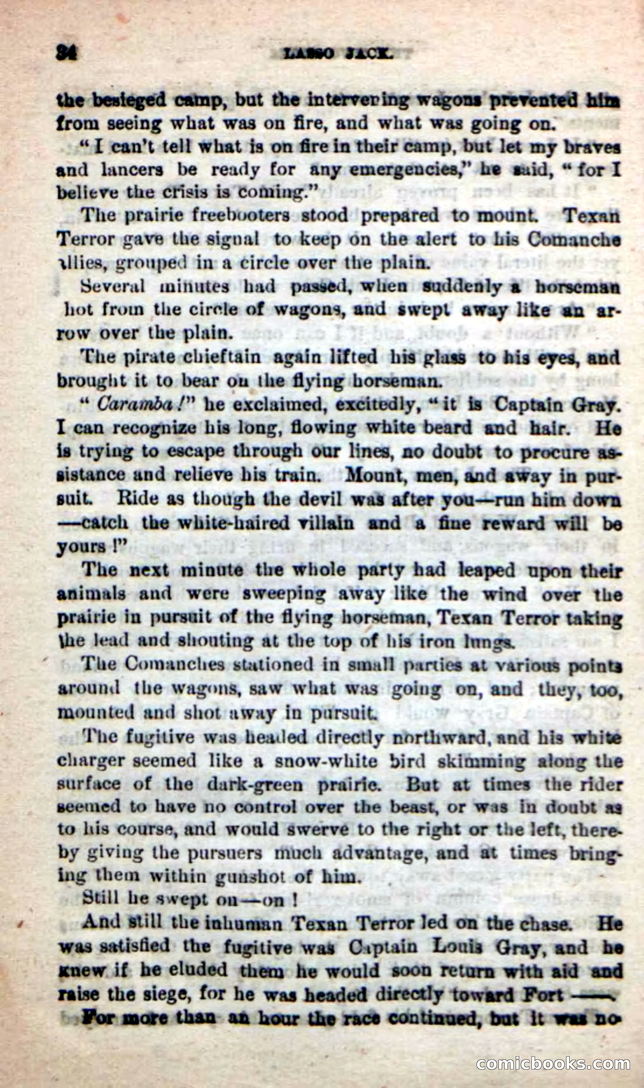 Beadle's New Dime Novels: The Young Mustanger — page 31 of 92