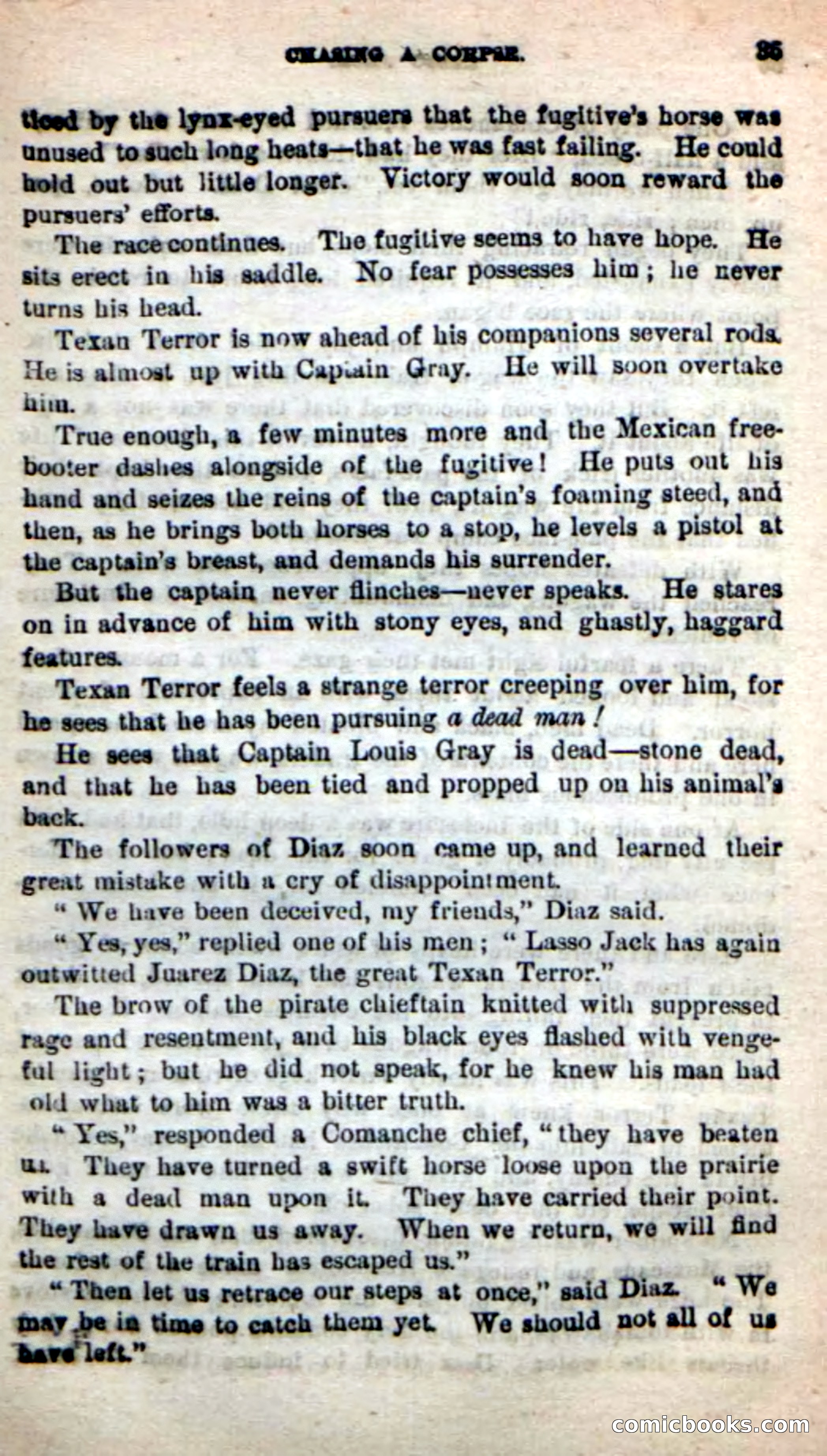 Beadle's New Dime Novels: The Young Mustanger — page 32 of 92