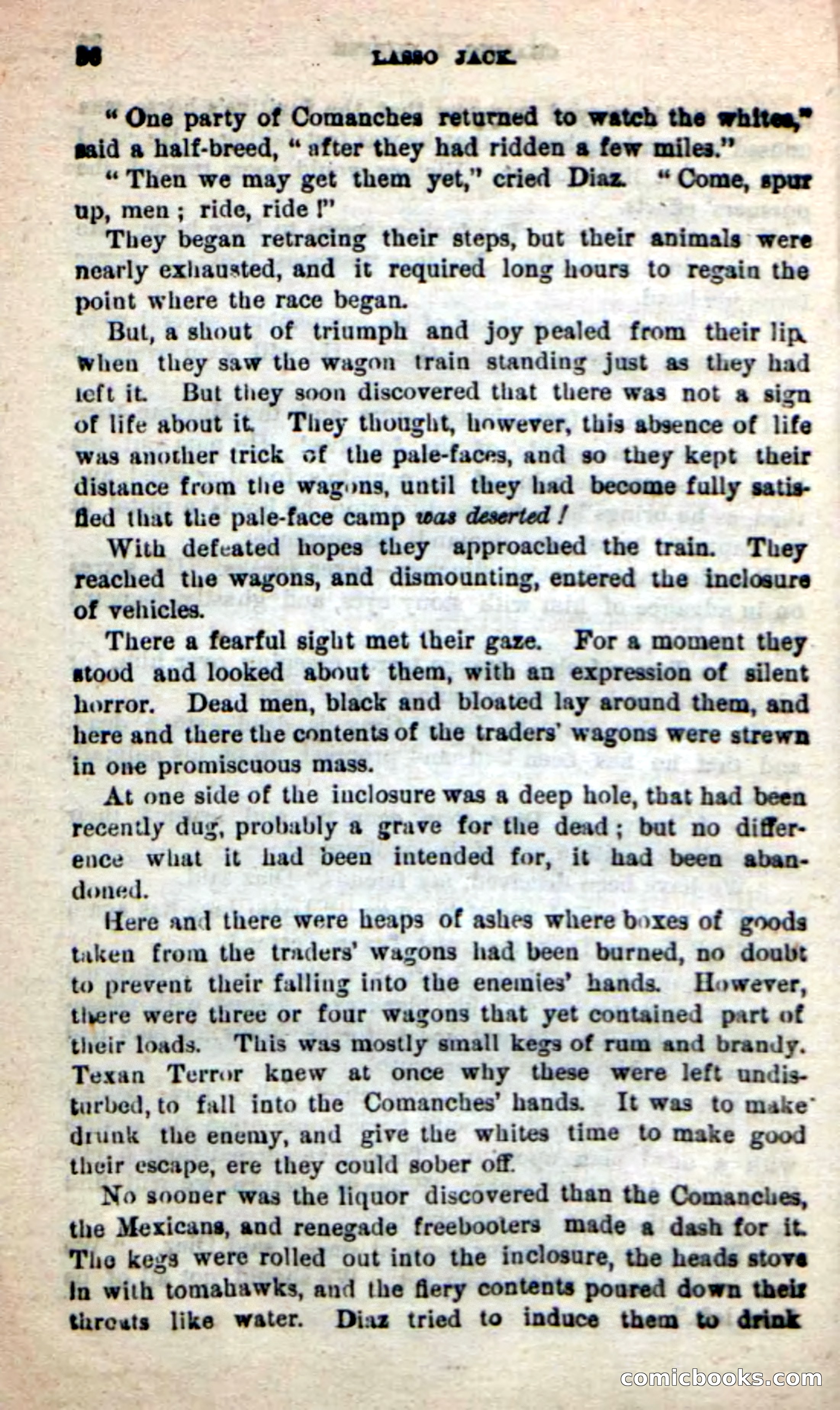 Beadle's New Dime Novels: The Young Mustanger — page 33 of 92