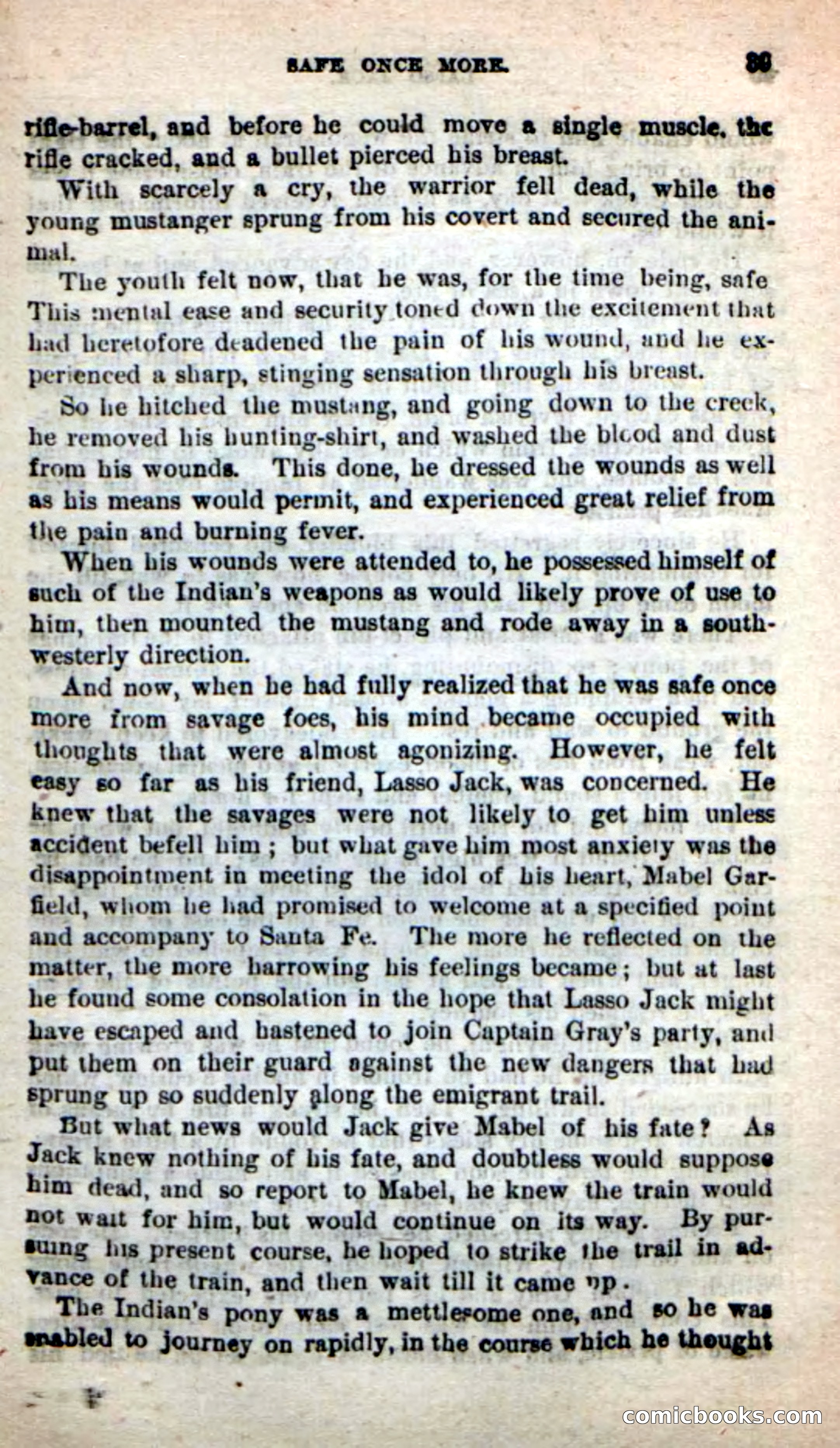 Beadle's New Dime Novels: The Young Mustanger — page 36 of 92