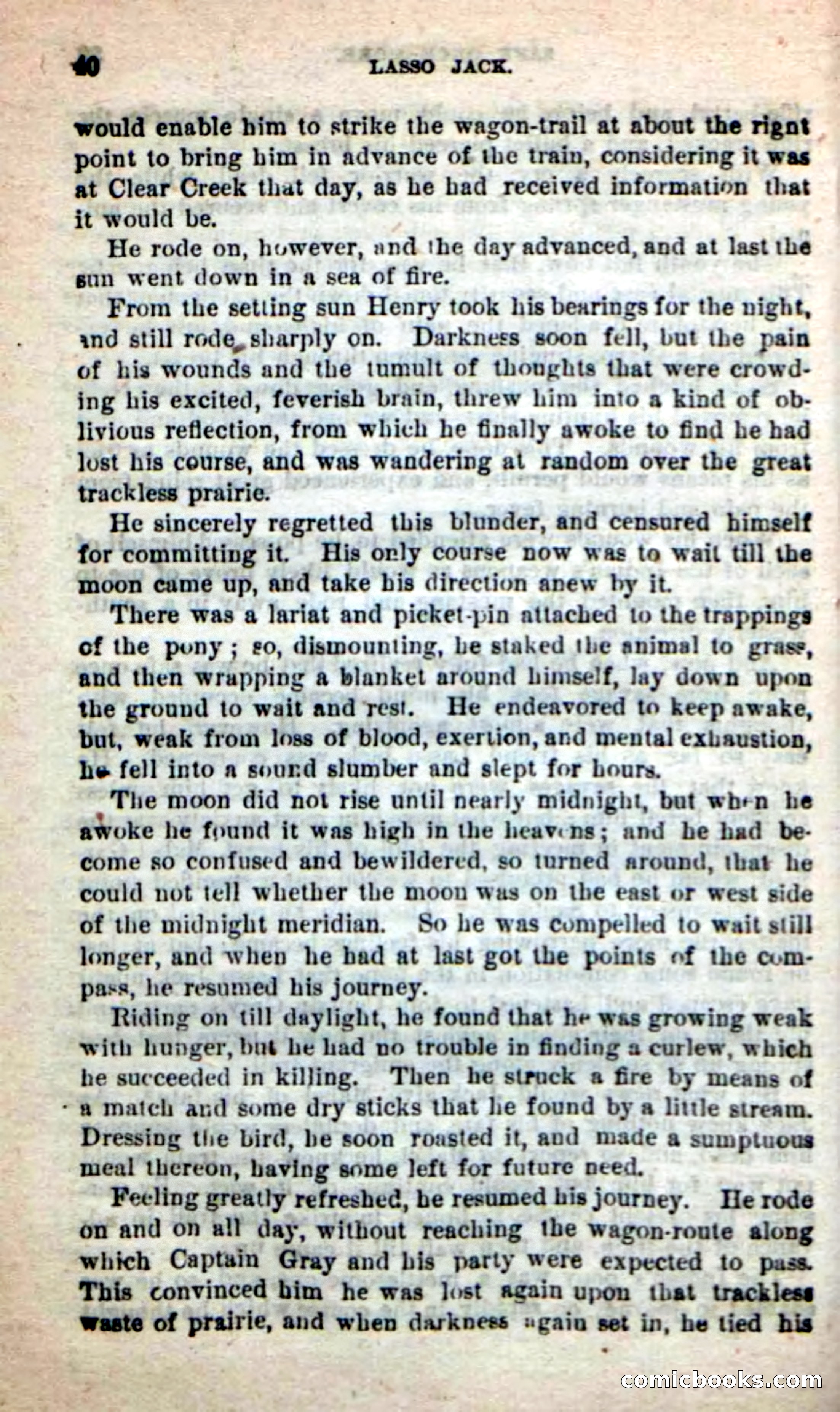 Beadle's New Dime Novels: The Young Mustanger — page 37 of 92