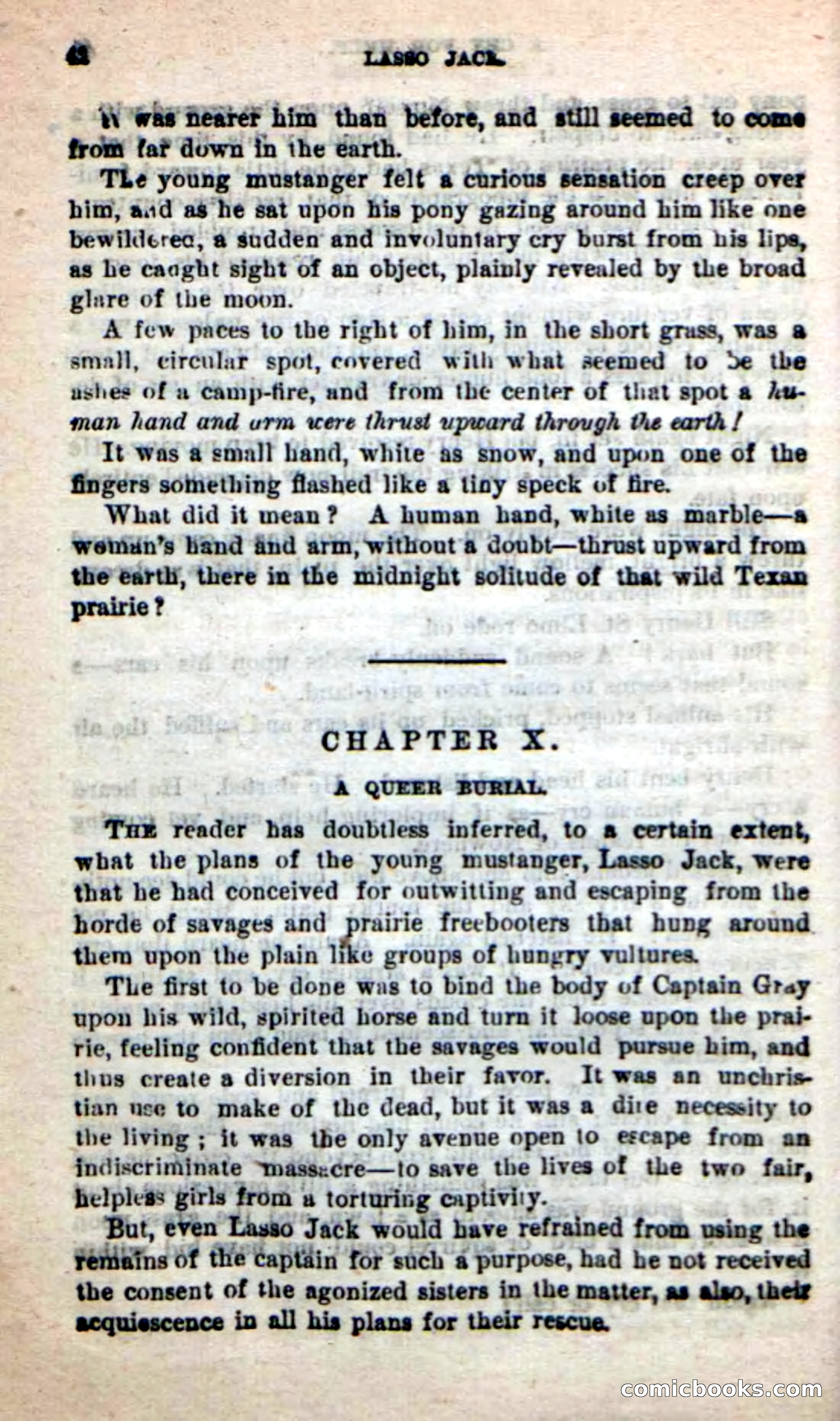 Beadle's New Dime Novels: The Young Mustanger — page 39 of 92