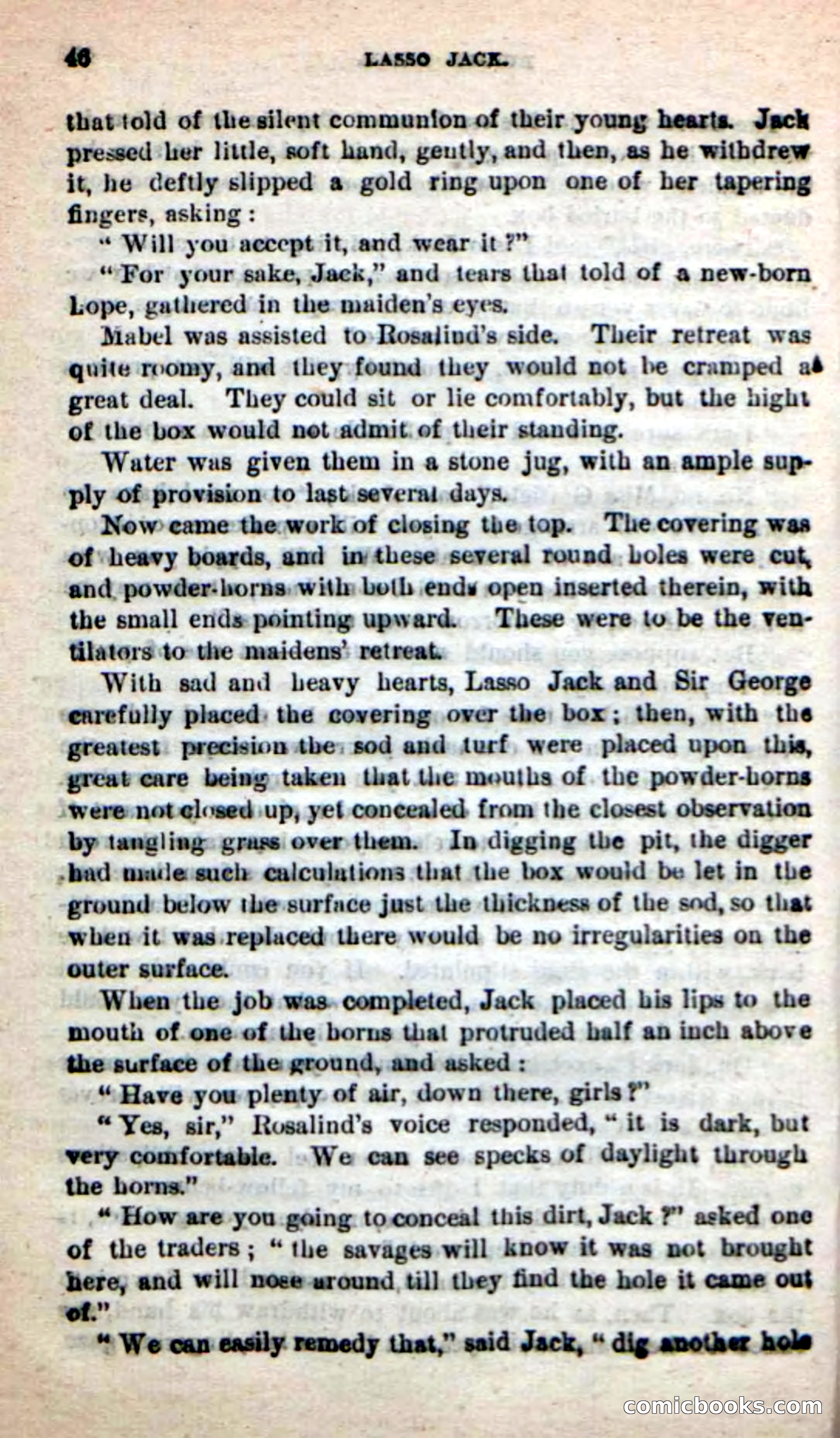 Beadle's New Dime Novels: The Young Mustanger — page 43 of 92