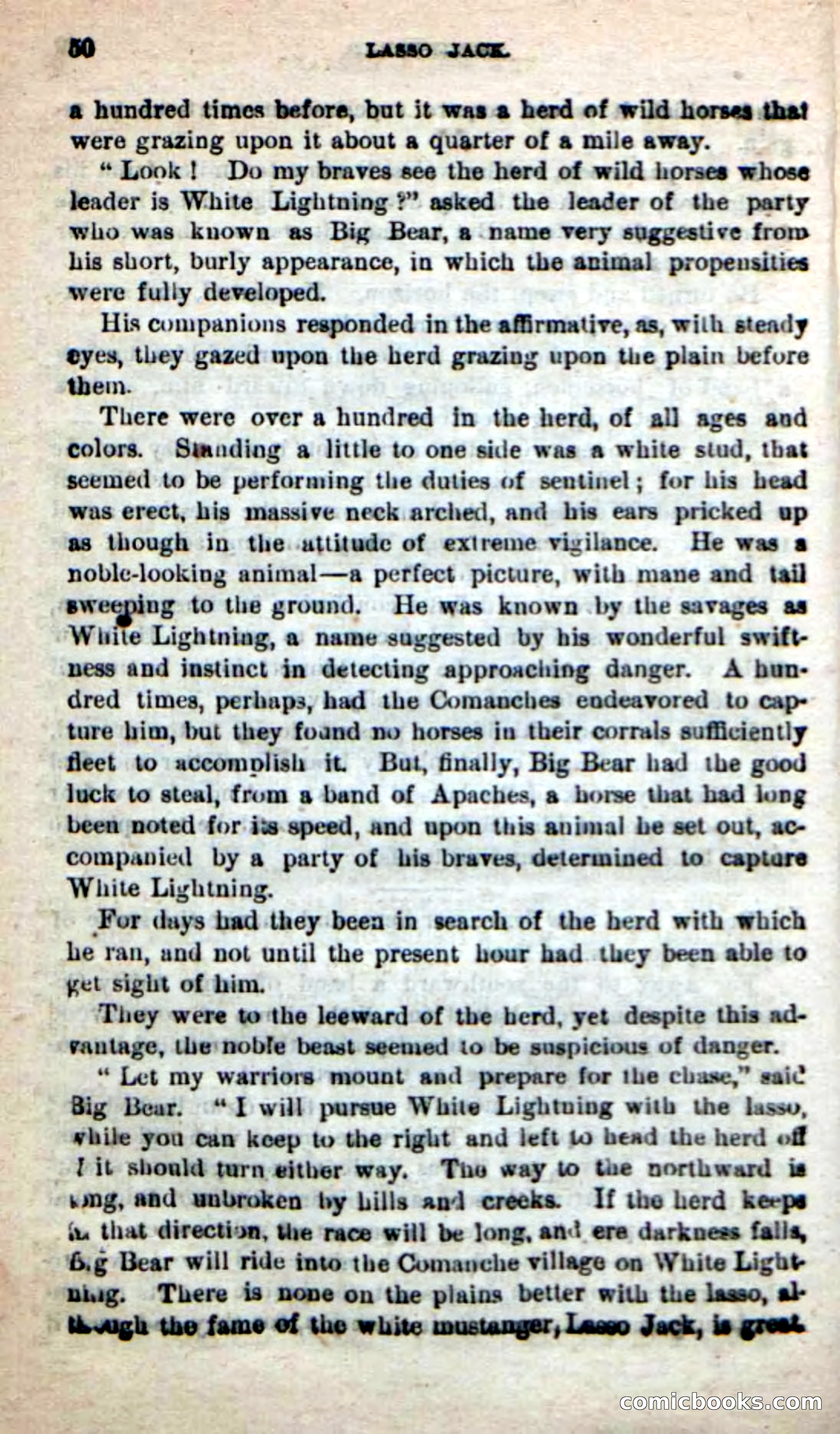 Beadle's New Dime Novels: The Young Mustanger — page 47 of 92