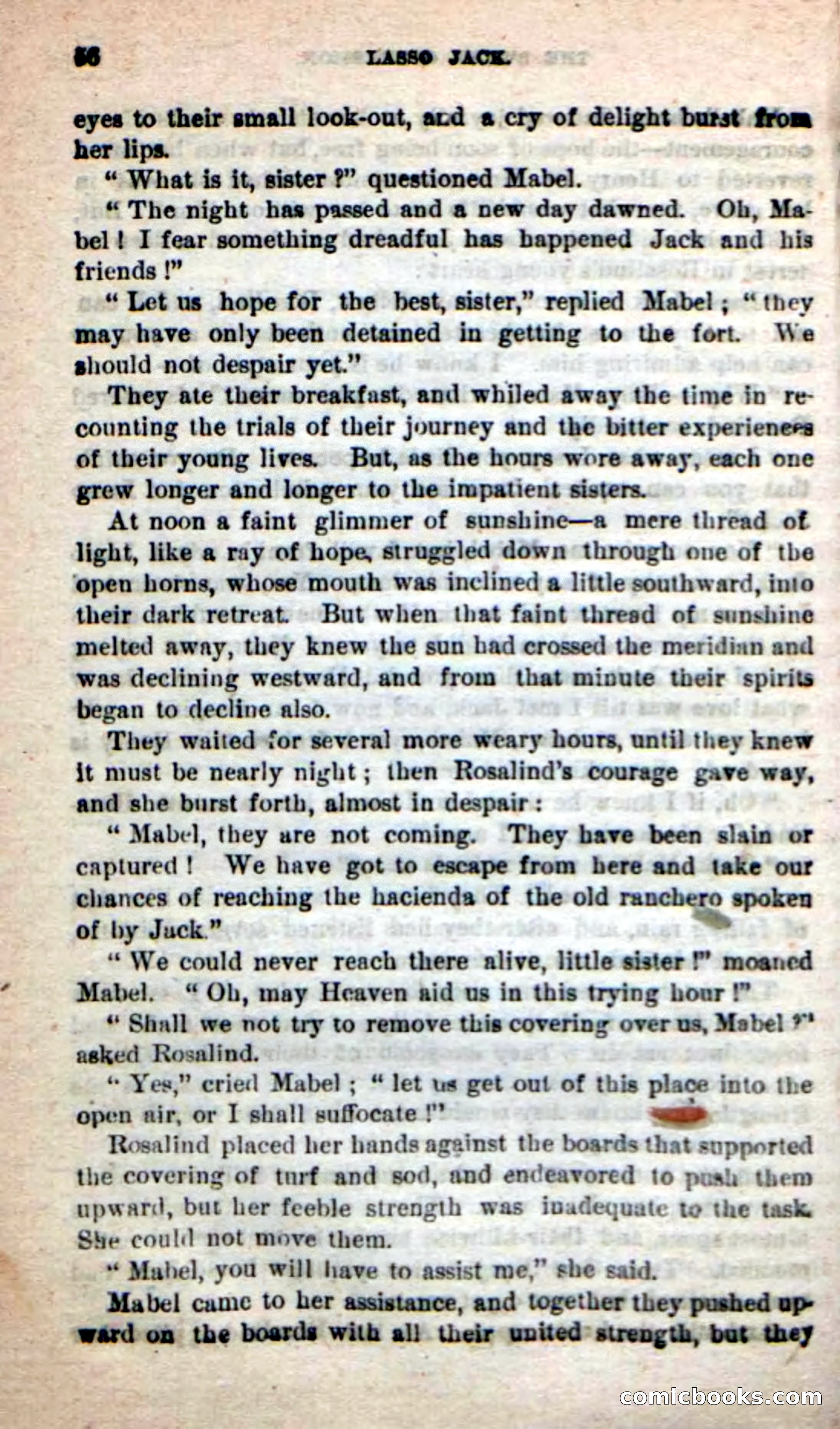 Beadle's New Dime Novels: The Young Mustanger — page 53 of 92