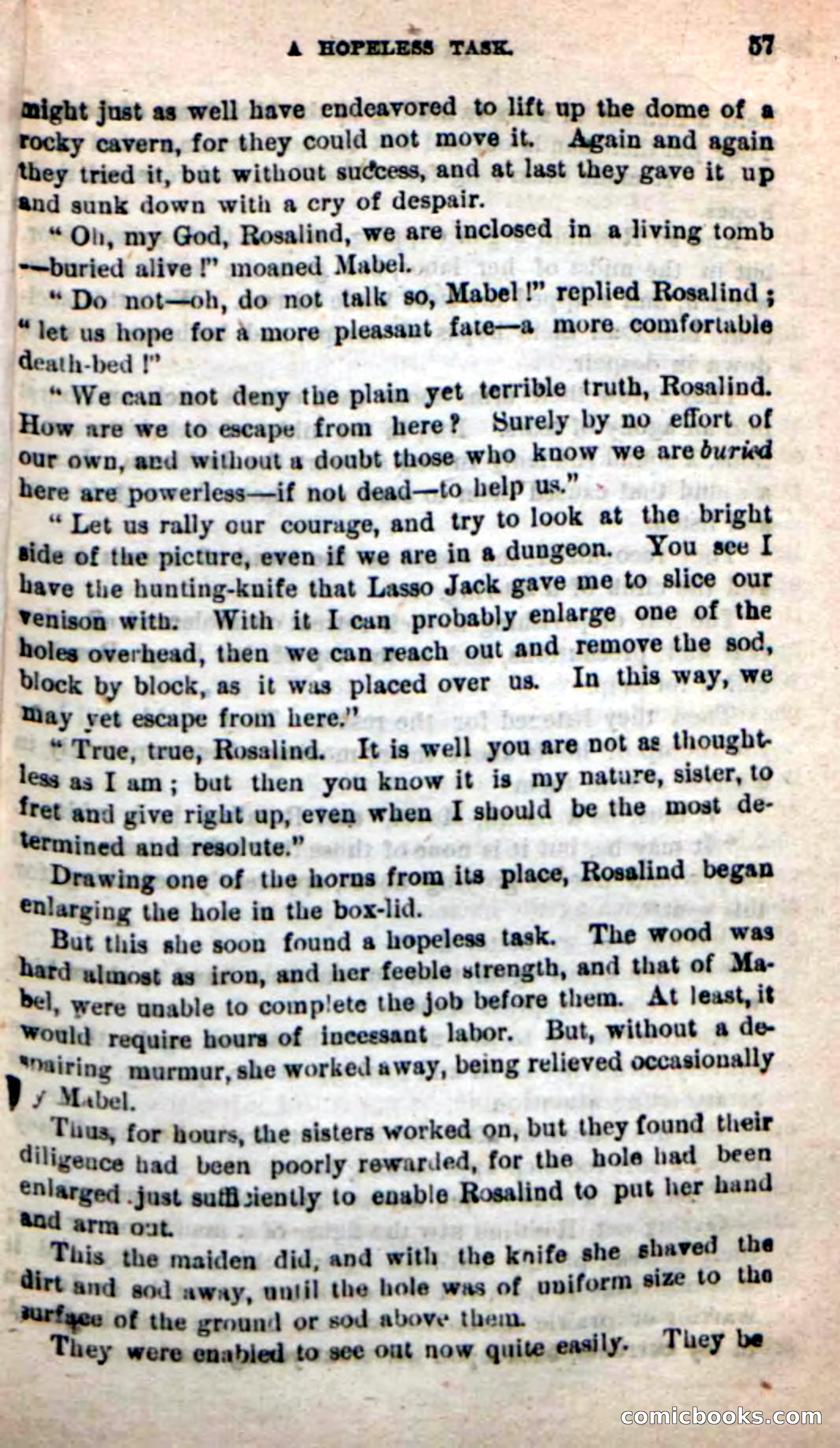 Beadle's New Dime Novels: The Young Mustanger — page 54 of 92