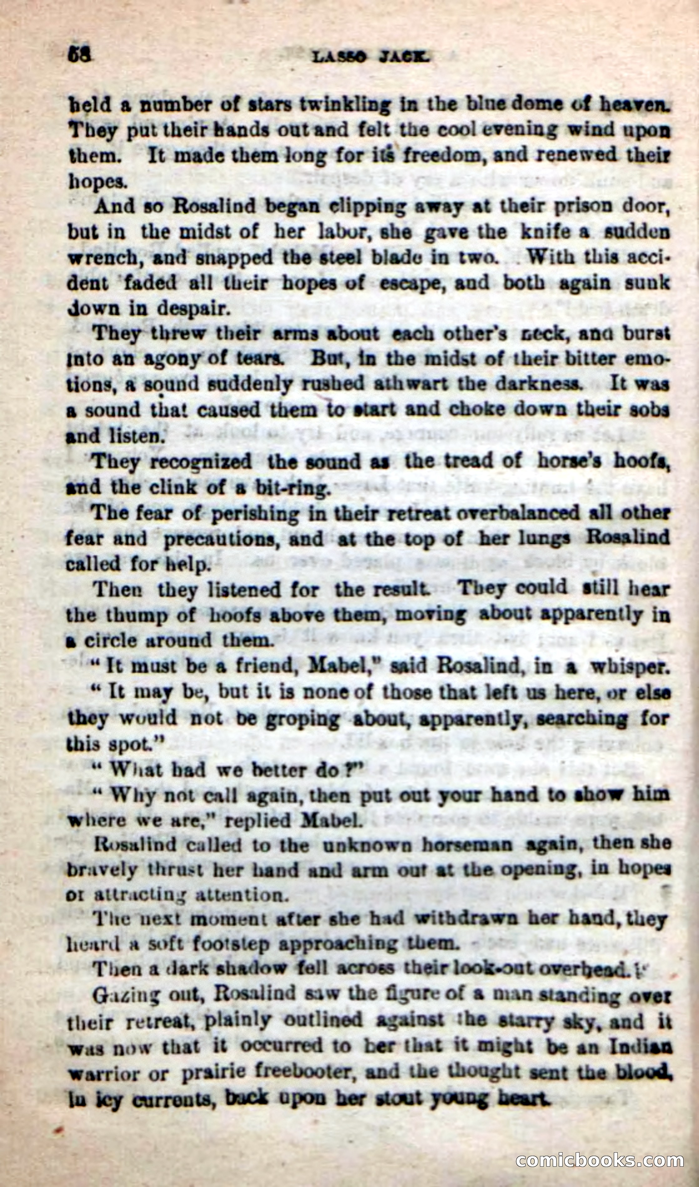 Beadle's New Dime Novels: The Young Mustanger — page 55 of 92