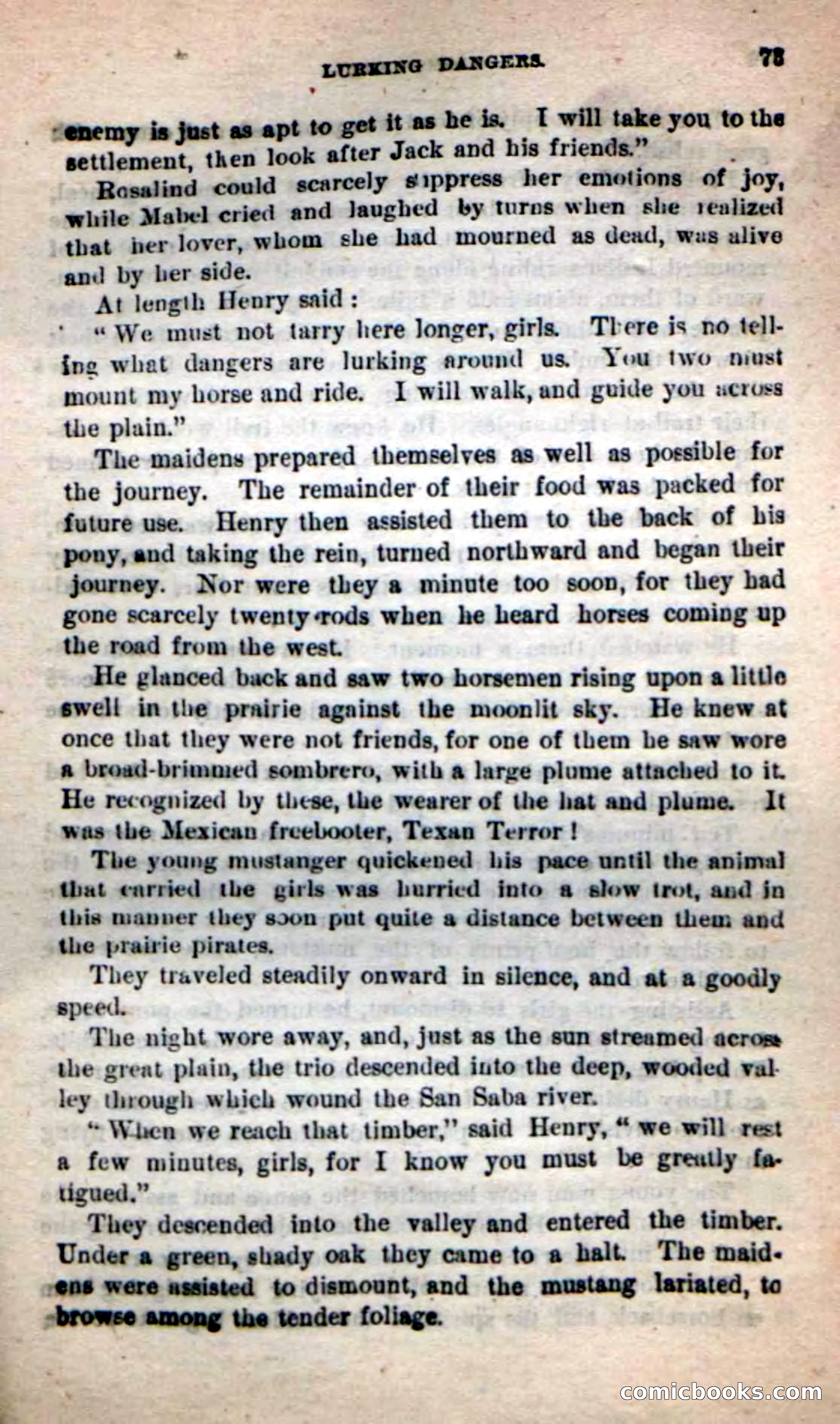 Beadle's New Dime Novels: The Young Mustanger — page 70 of 92