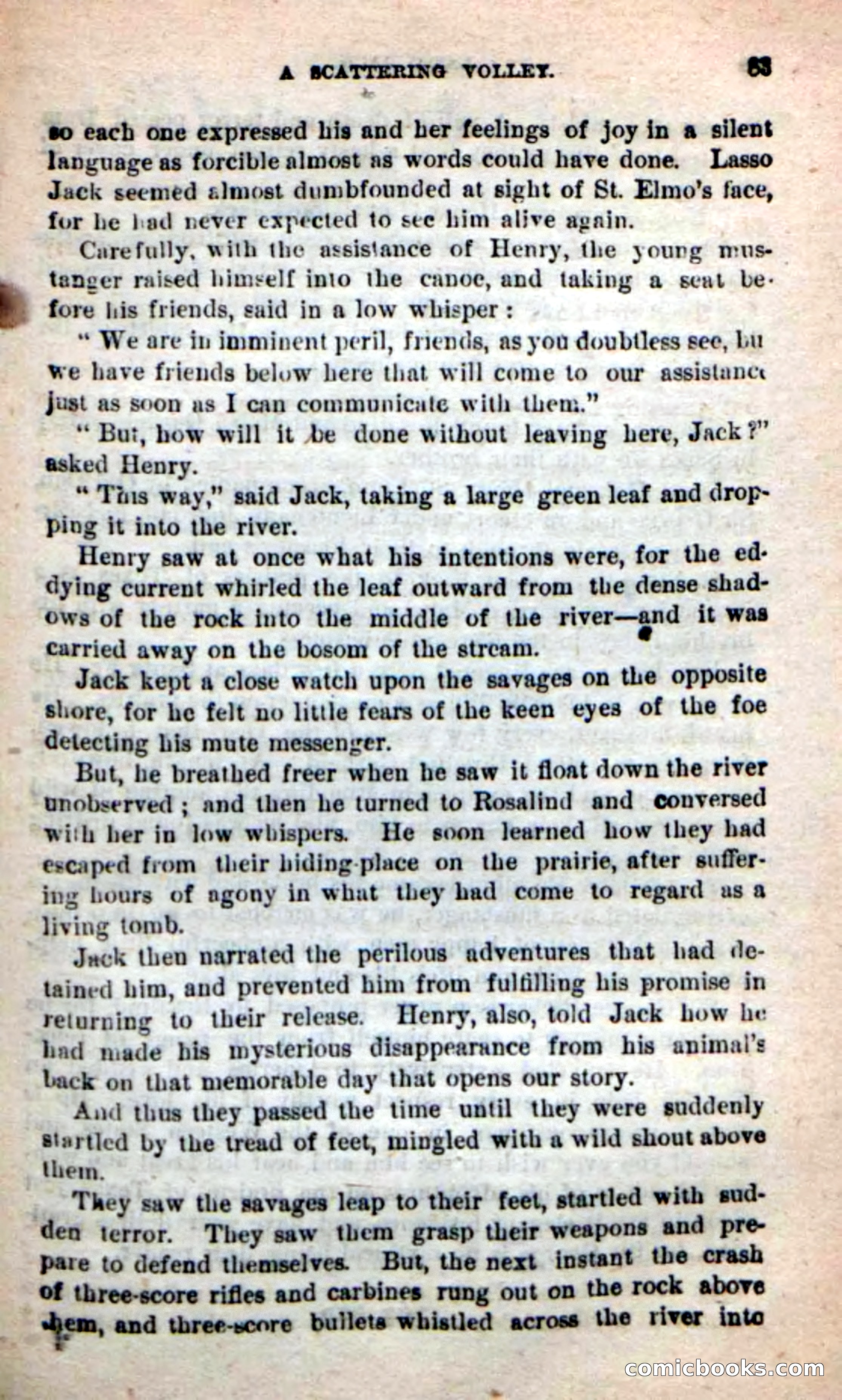 Beadle's New Dime Novels: The Young Mustanger — page 80 of 92