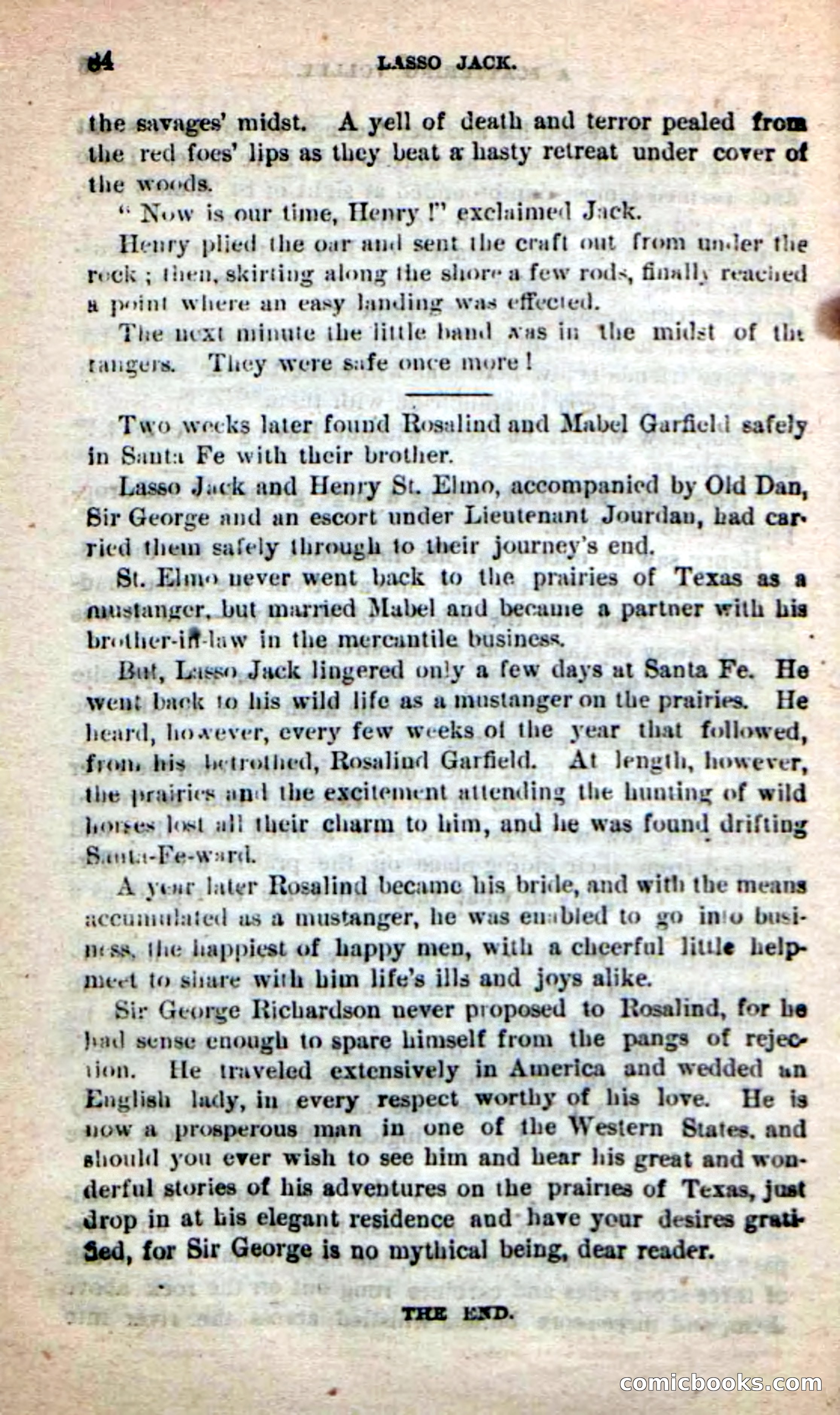 Beadle's New Dime Novels: The Young Mustanger — page 81 of 92