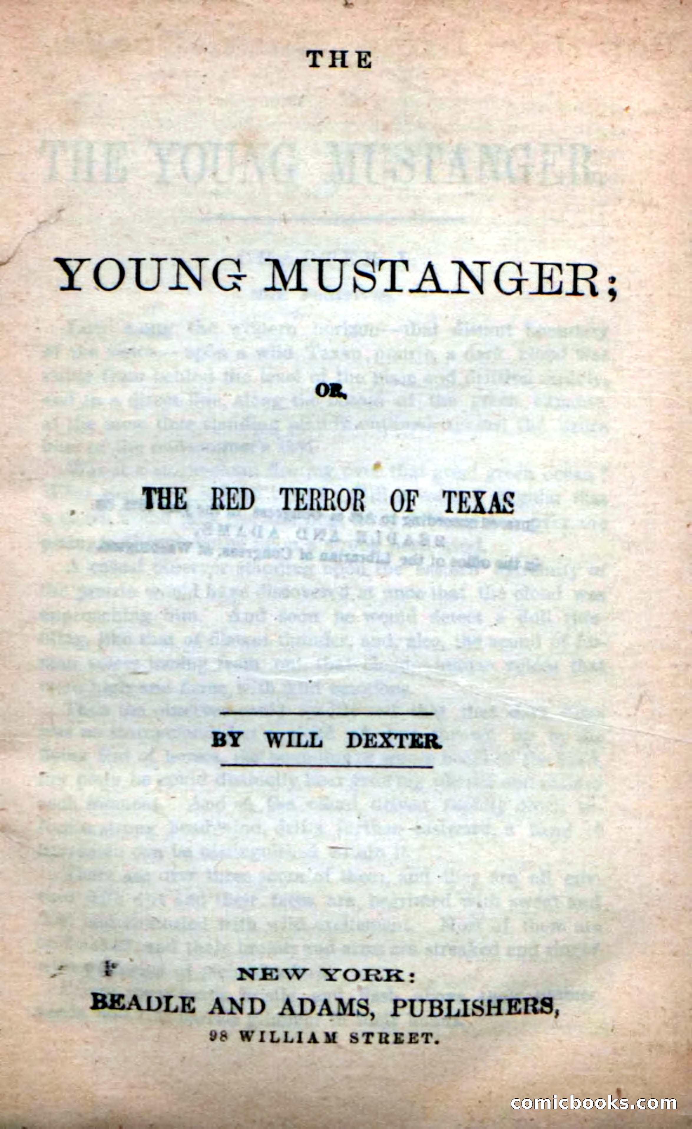 Beadle's New Dime Novels: The Young Mustanger — page 88 of 92