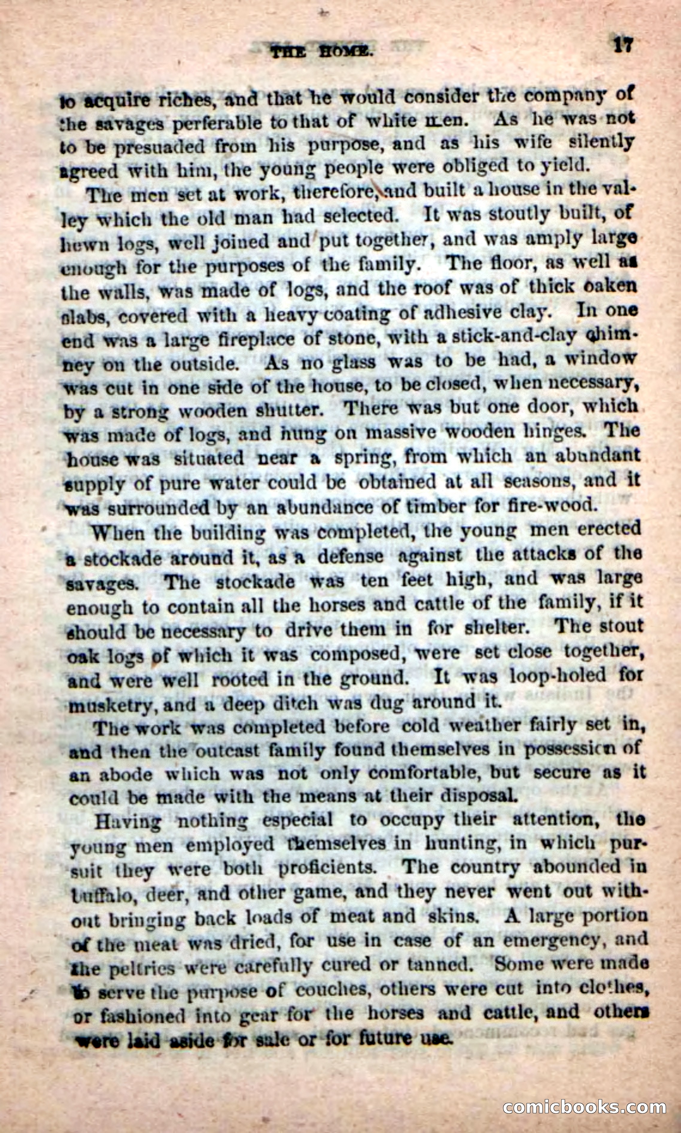 Beadle's New Dime Novels: The Hunted Life — page 13 of 100