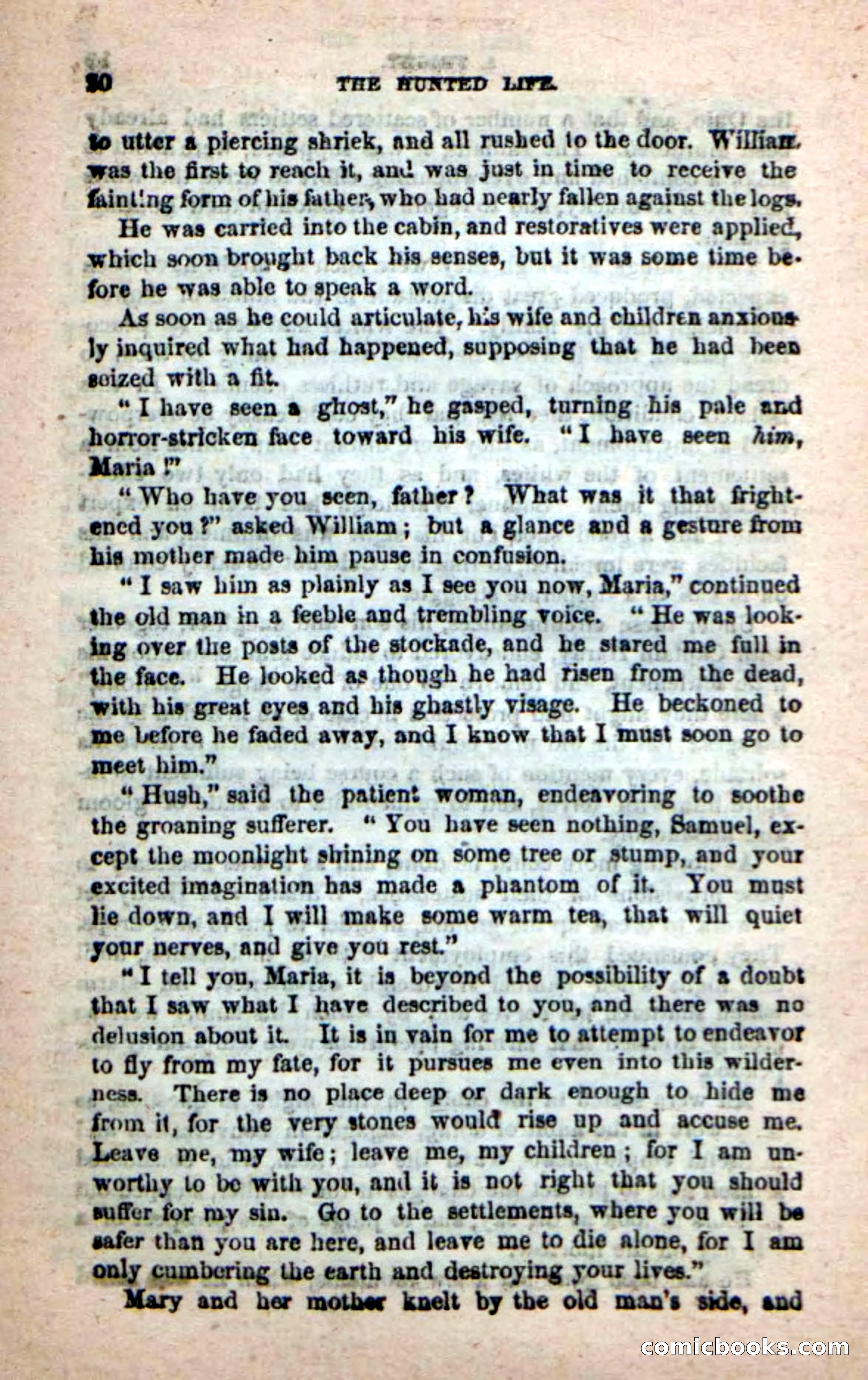 Beadle's New Dime Novels: The Hunted Life — page 16 of 100