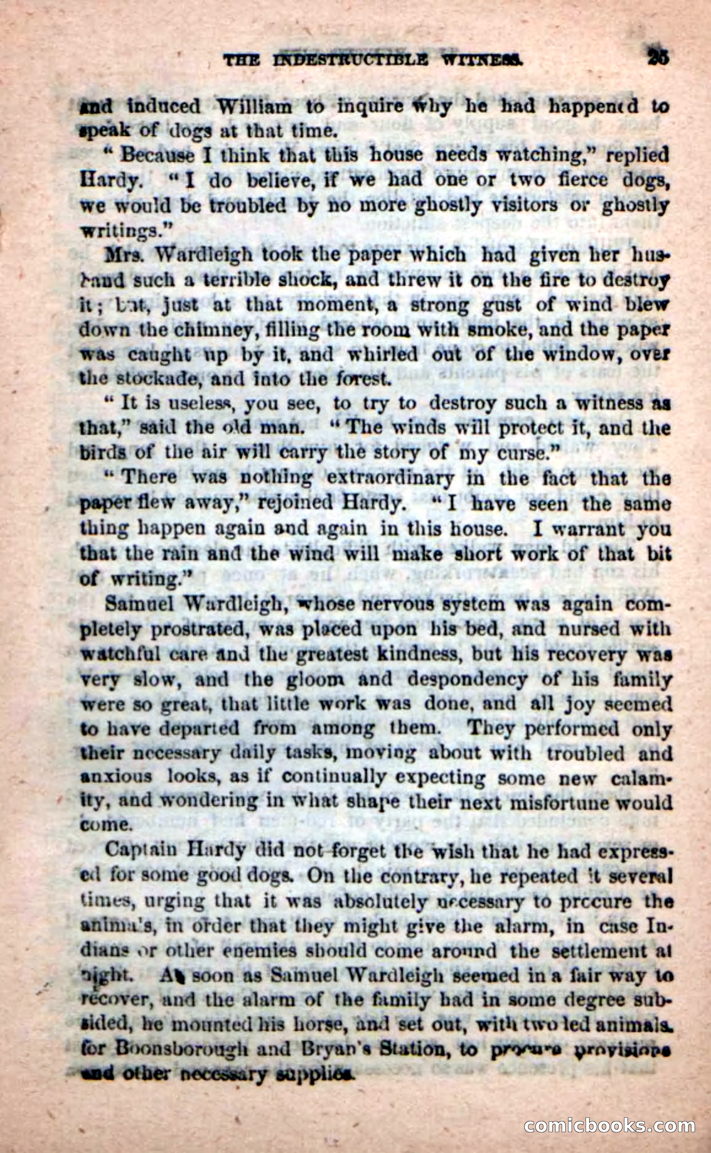 Beadle's New Dime Novels: The Hunted Life — page 21 of 100