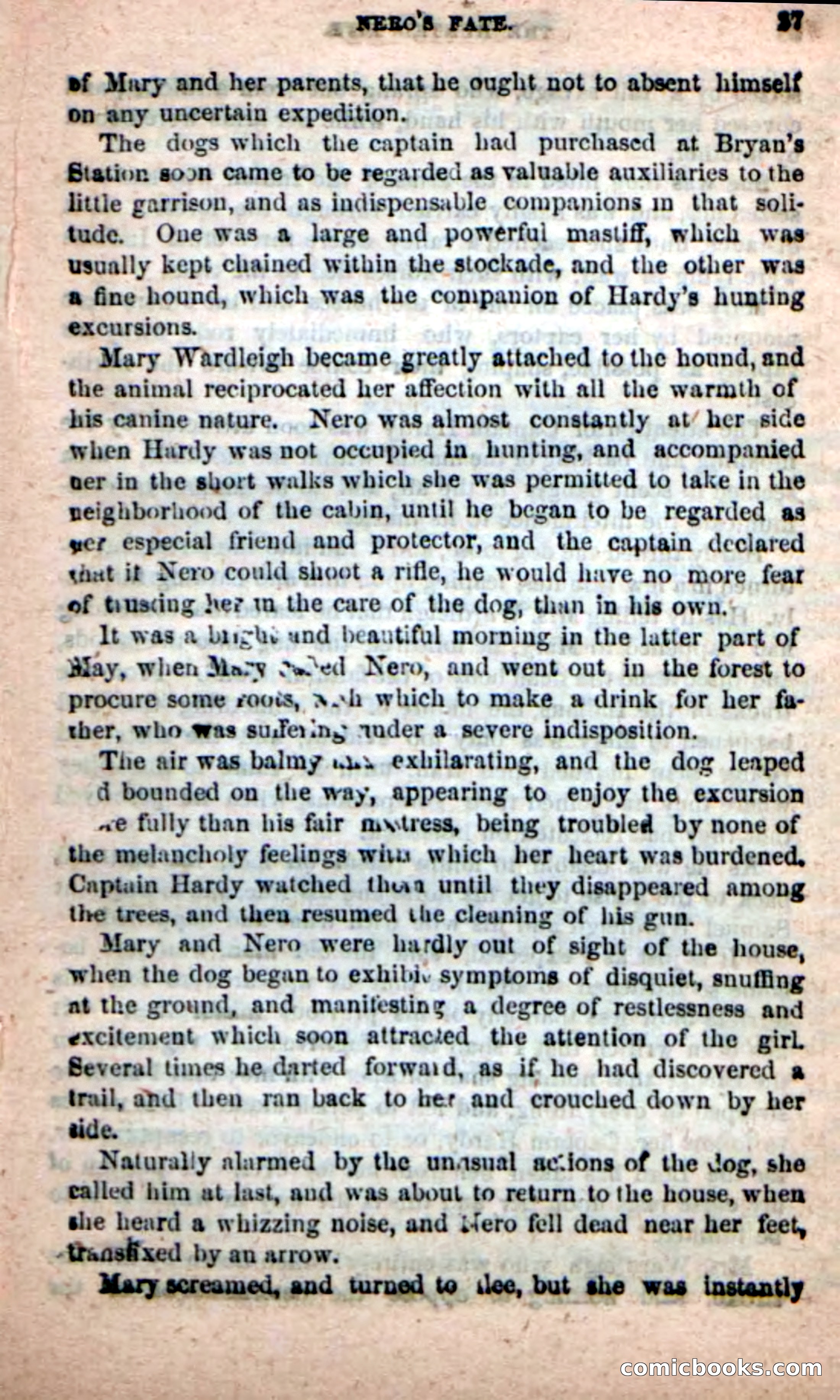 Beadle's New Dime Novels: The Hunted Life — page 23 of 100