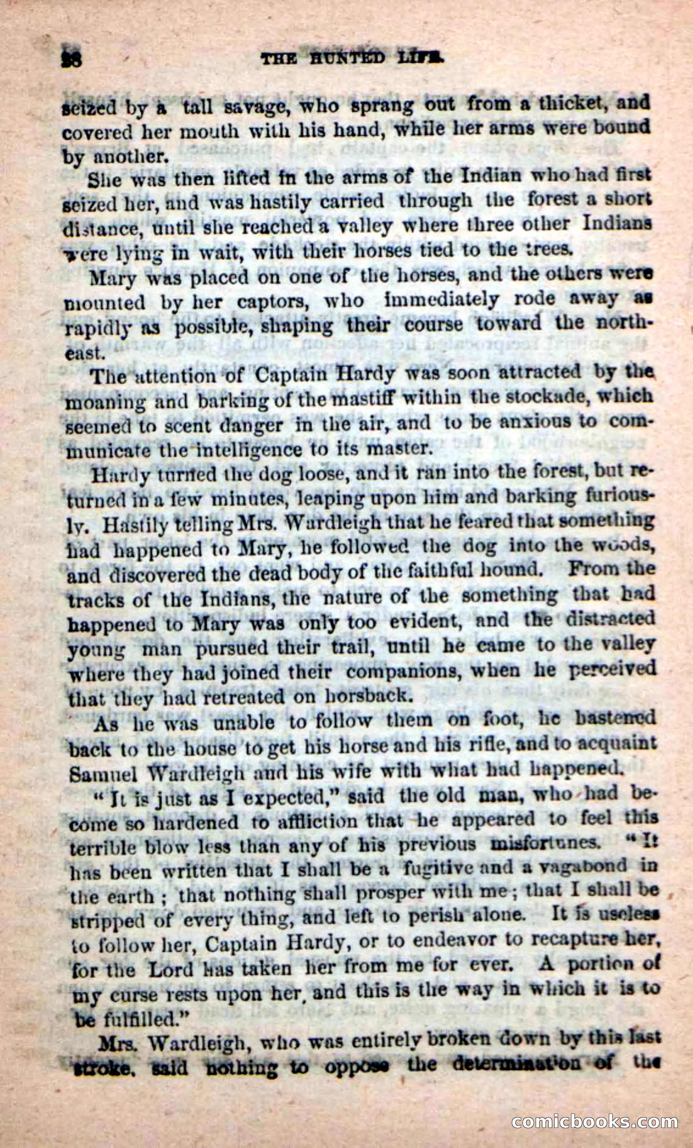 Beadle's New Dime Novels: The Hunted Life — page 24 of 100