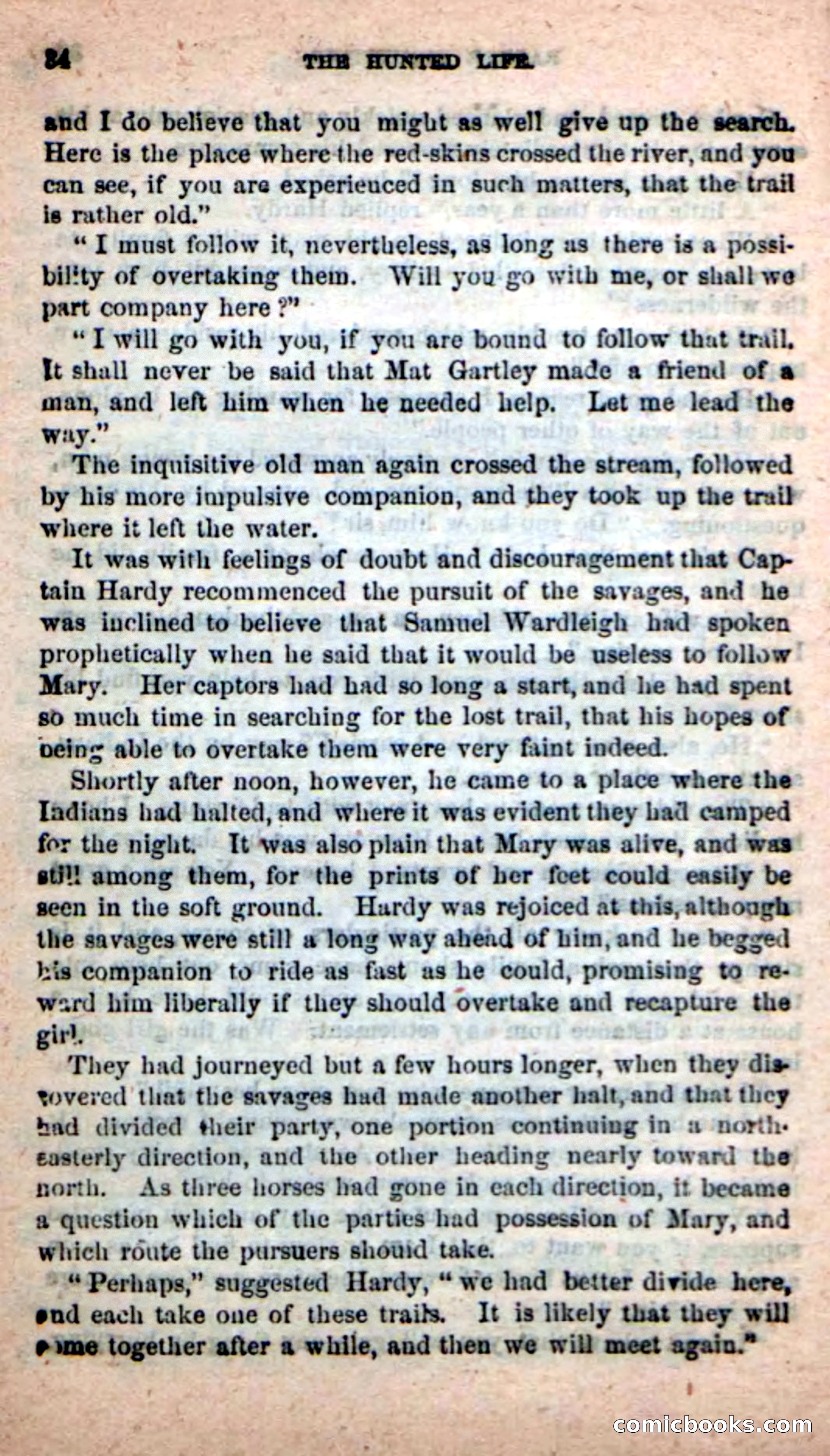Beadle's New Dime Novels: The Hunted Life — page 30 of 100
