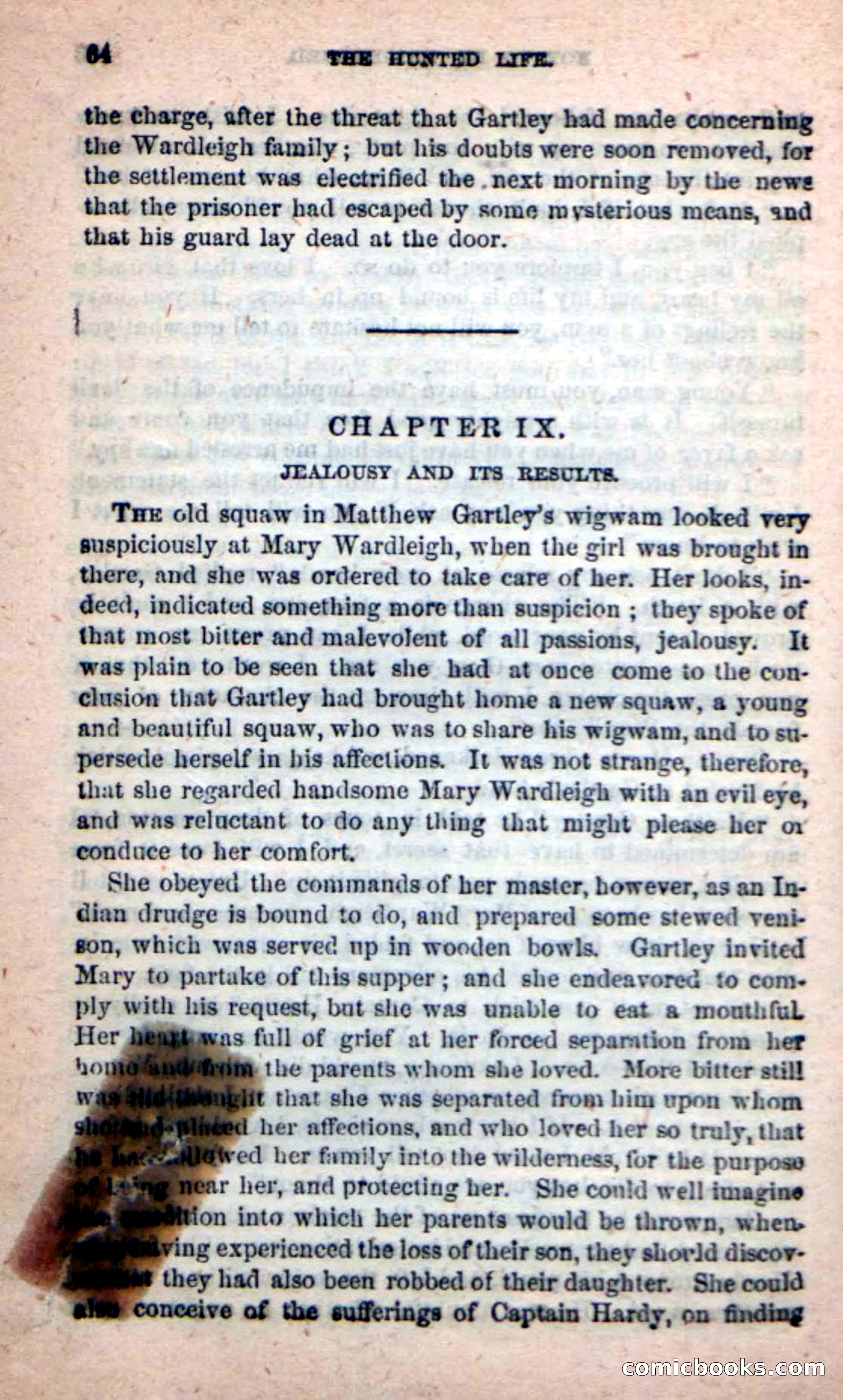 Beadle's New Dime Novels: The Hunted Life — page 60 of 100