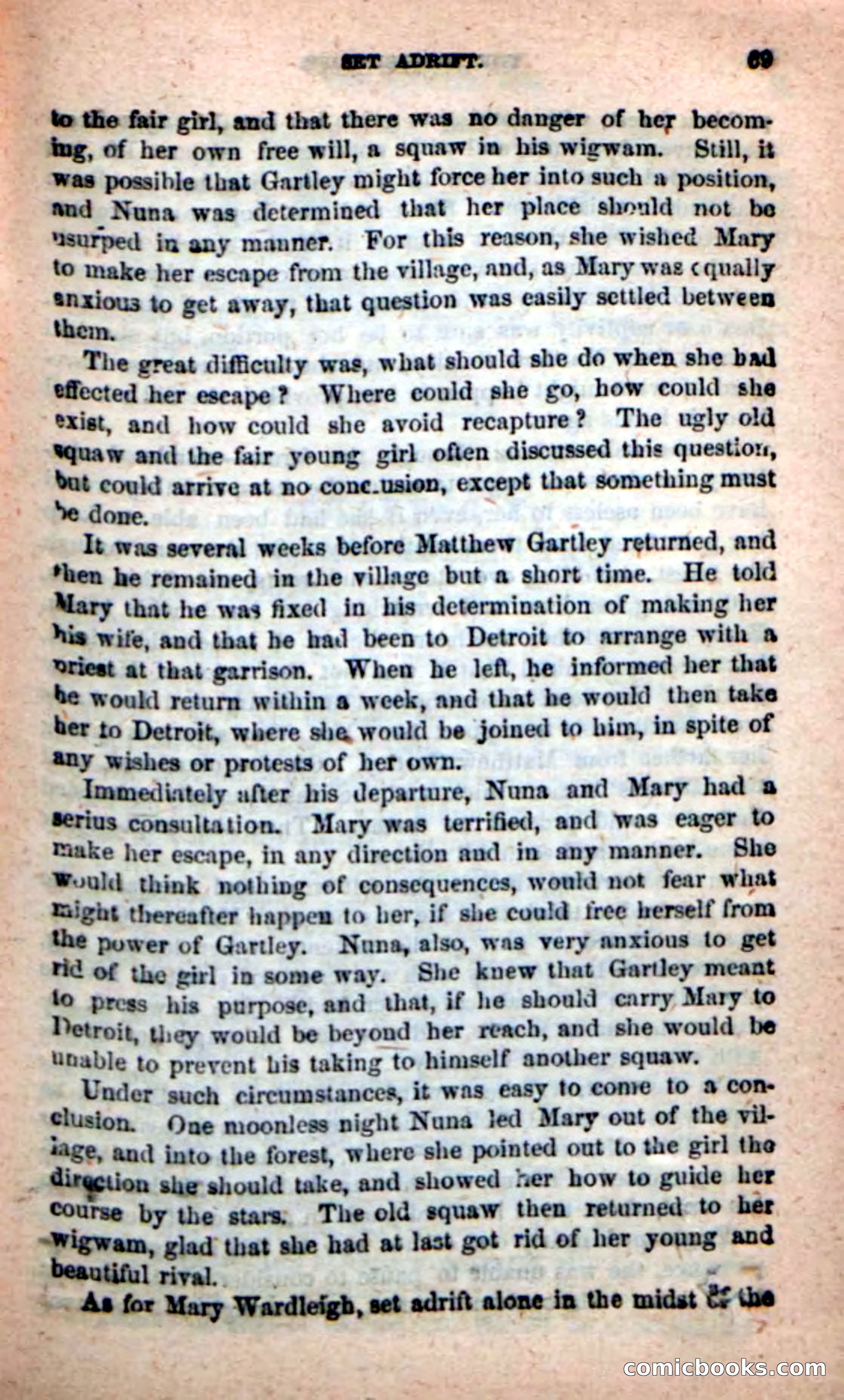 Beadle's New Dime Novels: The Hunted Life — page 65 of 100