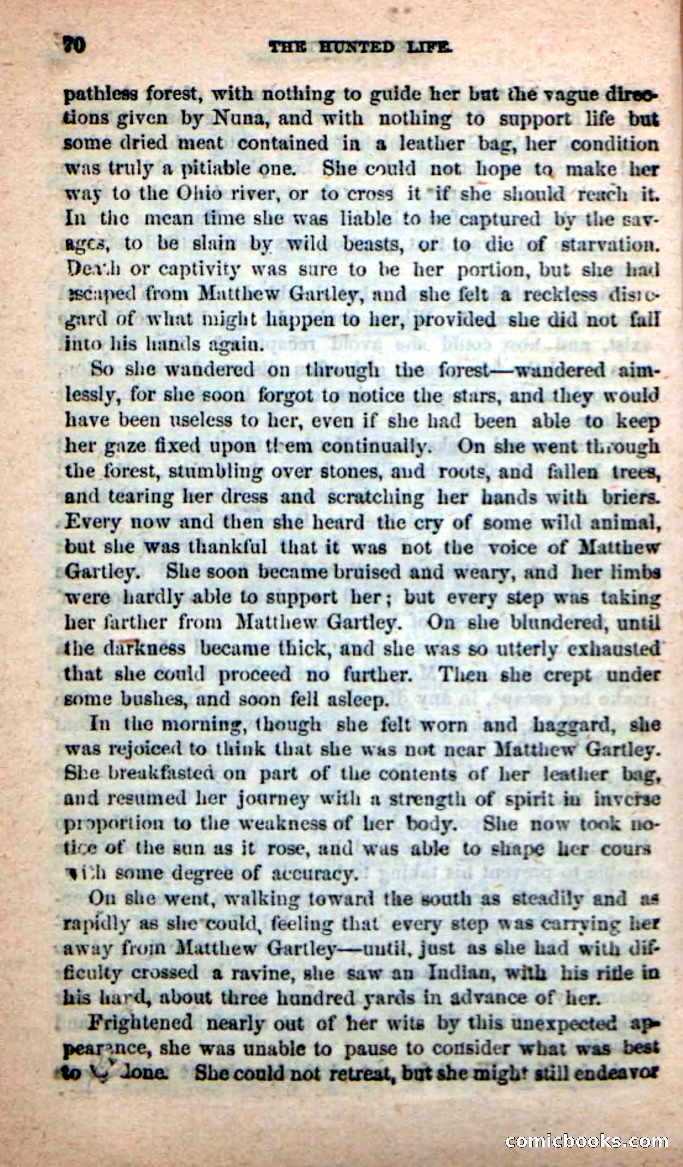 Beadle's New Dime Novels: The Hunted Life — page 66 of 100