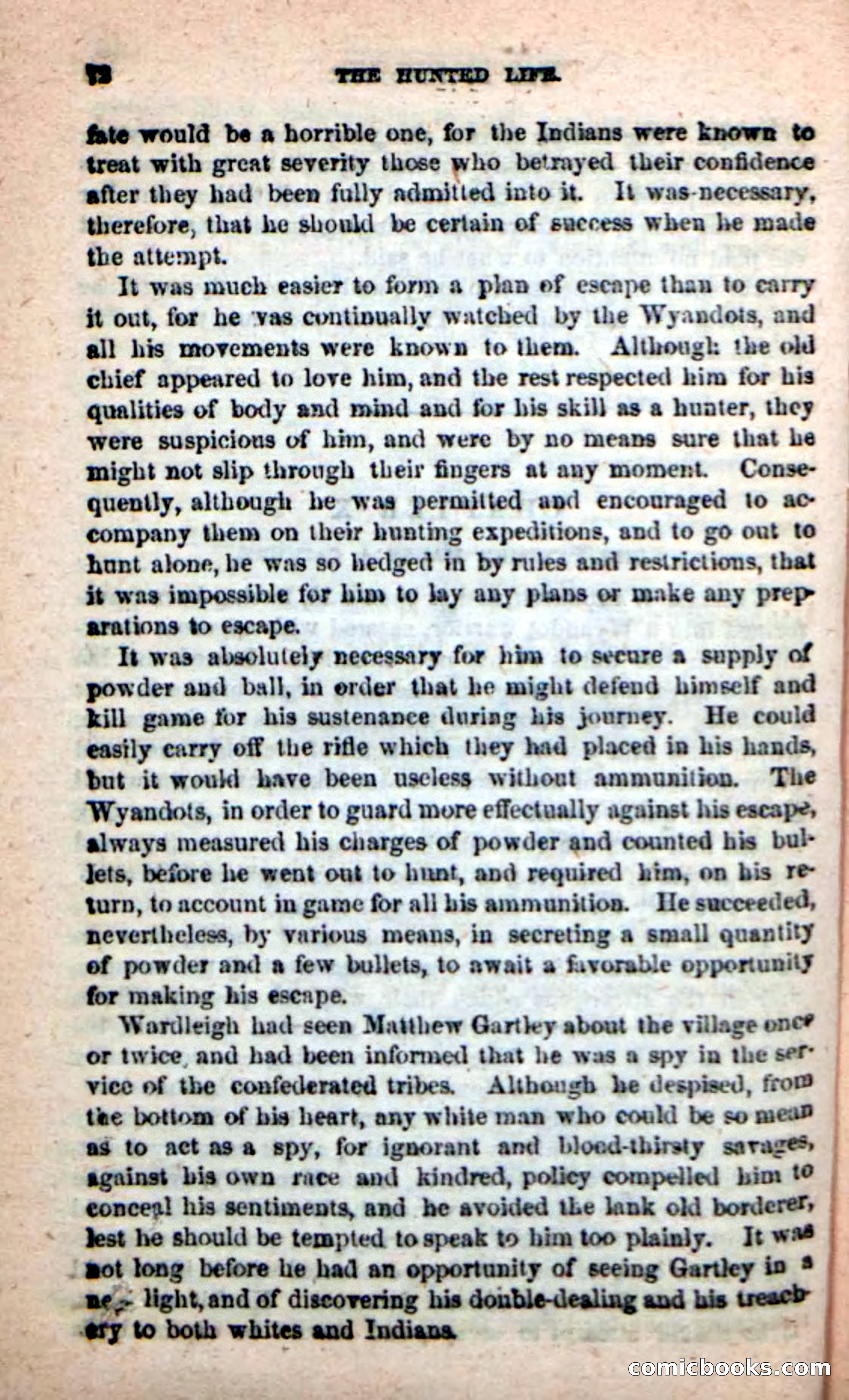 Beadle's New Dime Novels: The Hunted Life — page 68 of 100