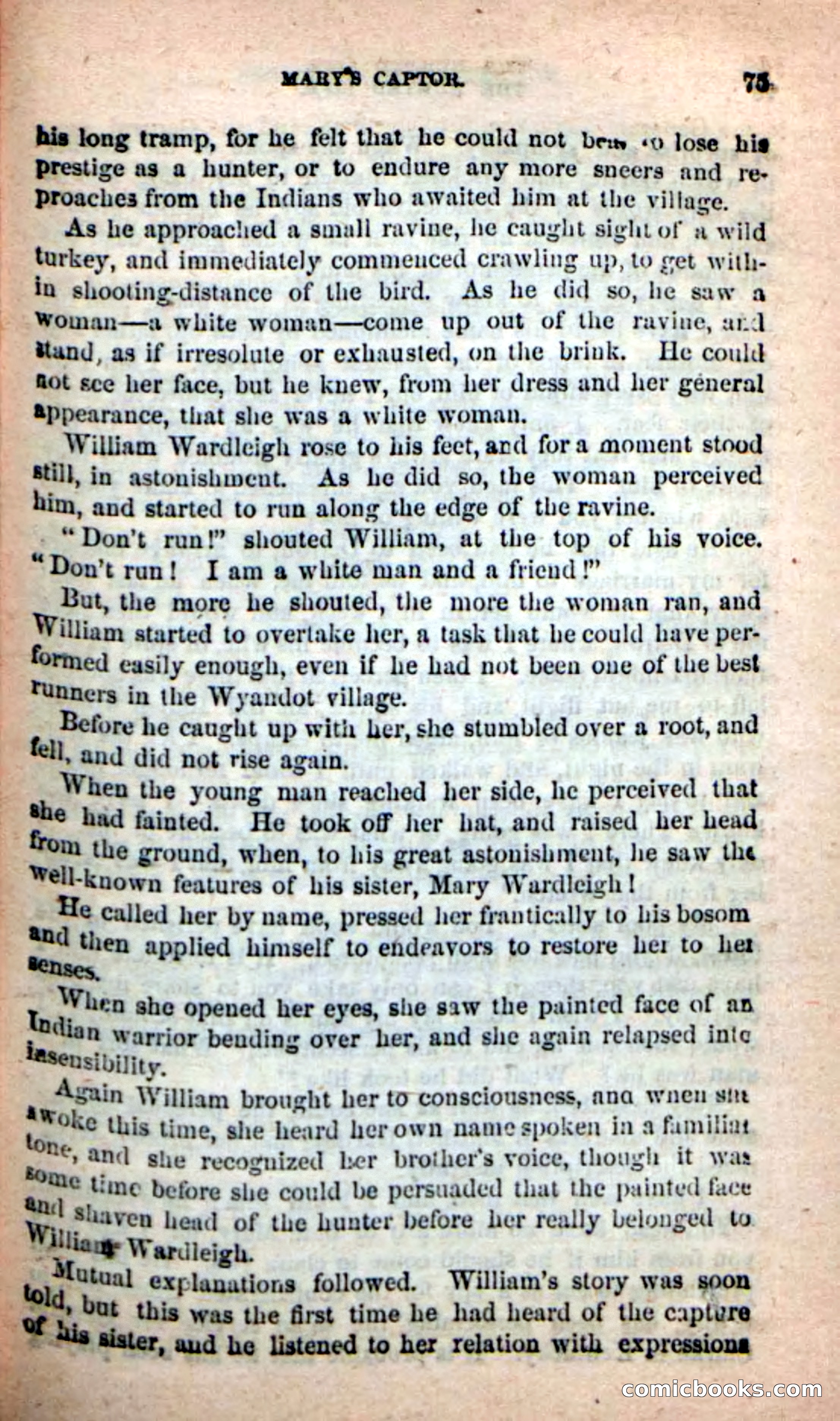 Beadle's New Dime Novels: The Hunted Life — page 71 of 100