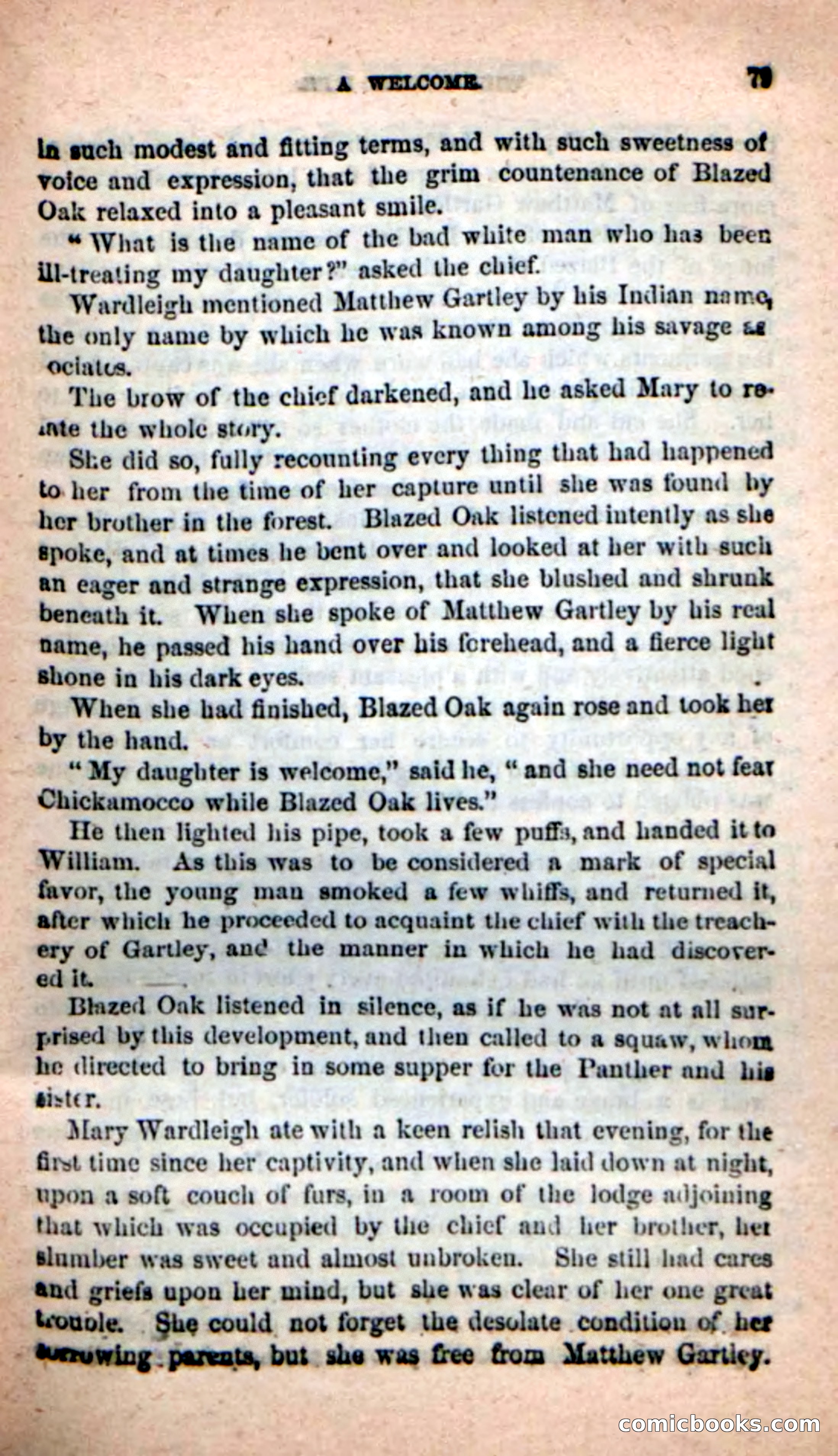 Beadle's New Dime Novels: The Hunted Life — page 75 of 100