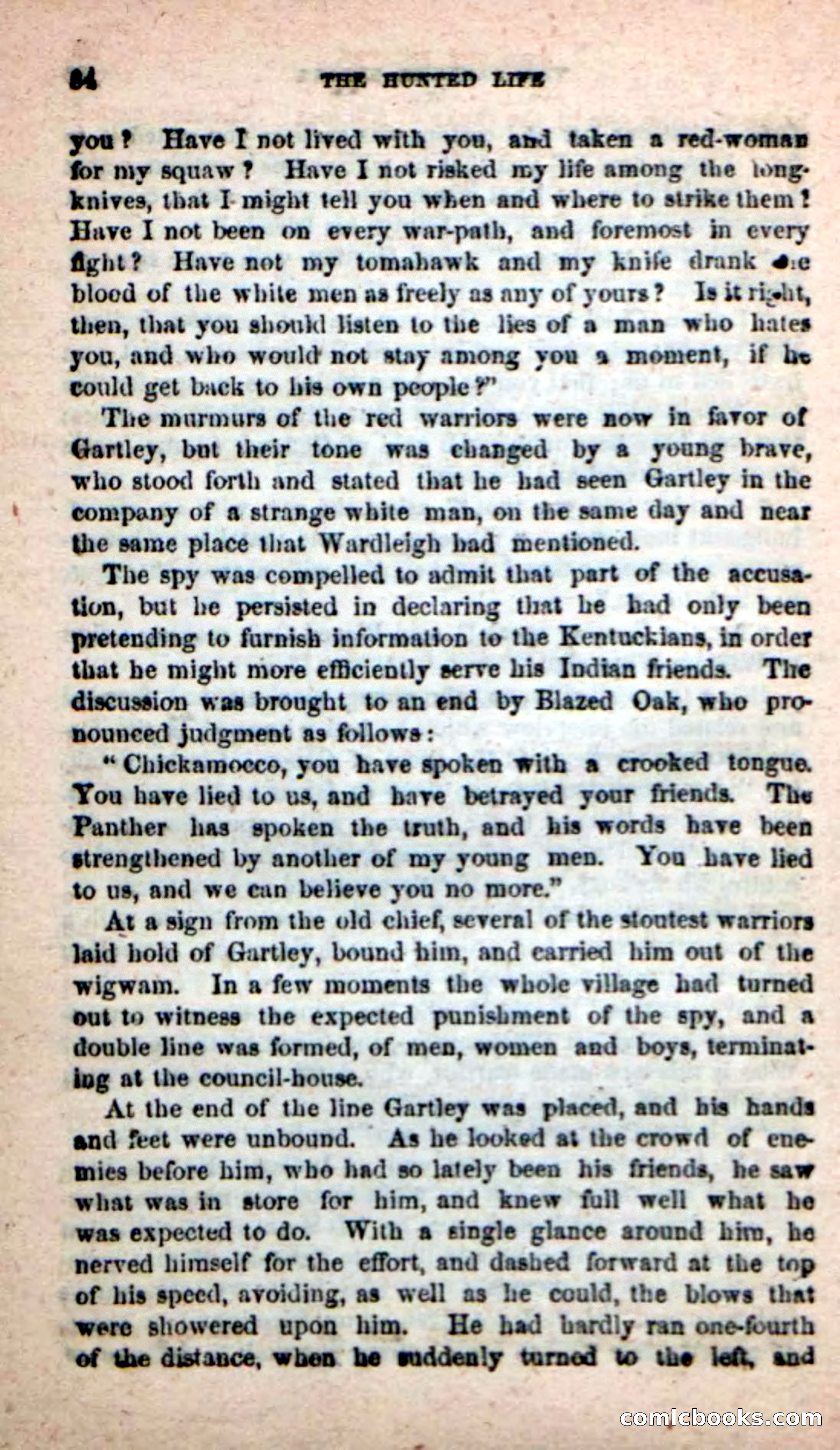 Beadle's New Dime Novels: The Hunted Life — page 80 of 100