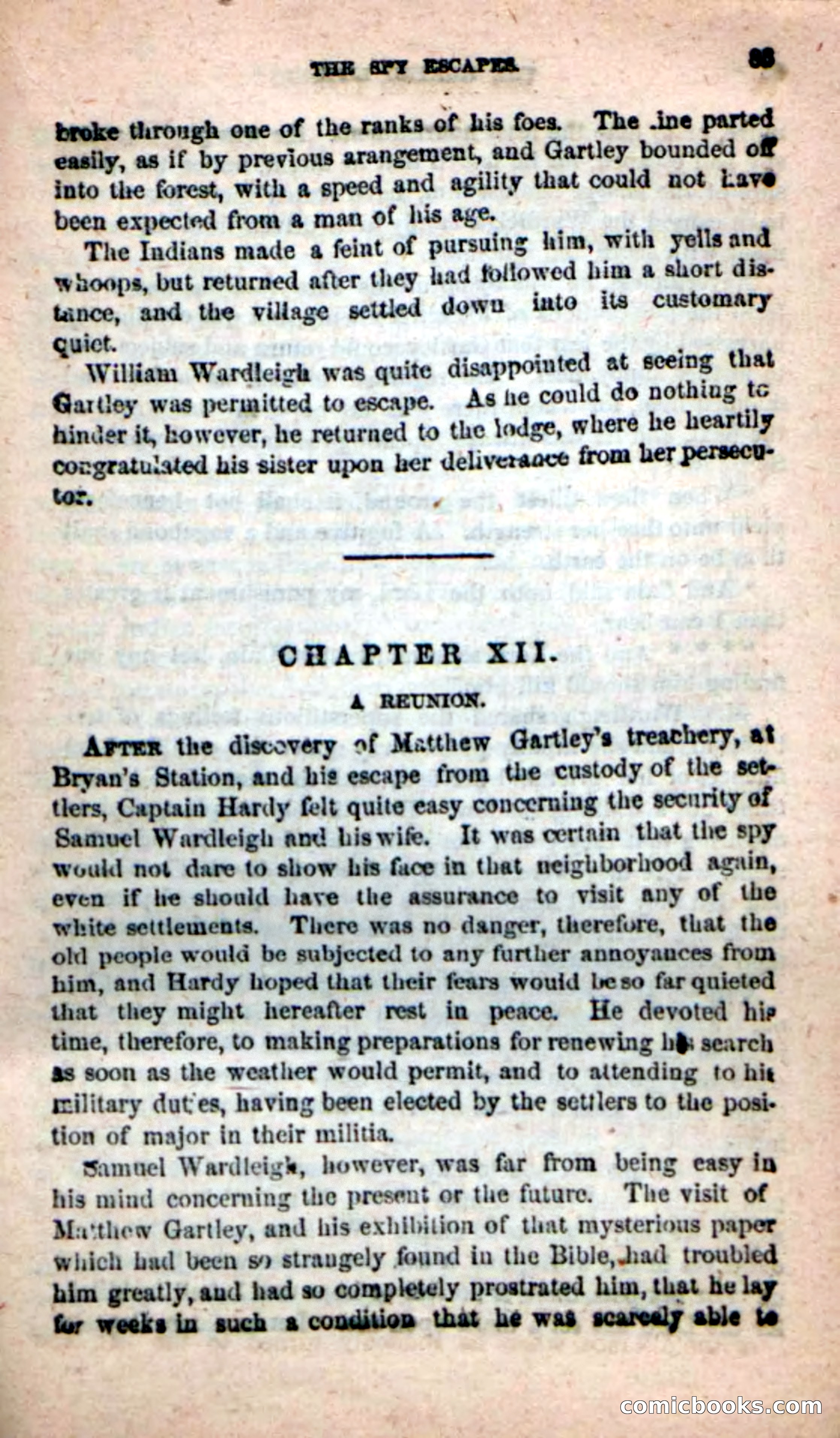 Beadle's New Dime Novels: The Hunted Life — page 81 of 100
