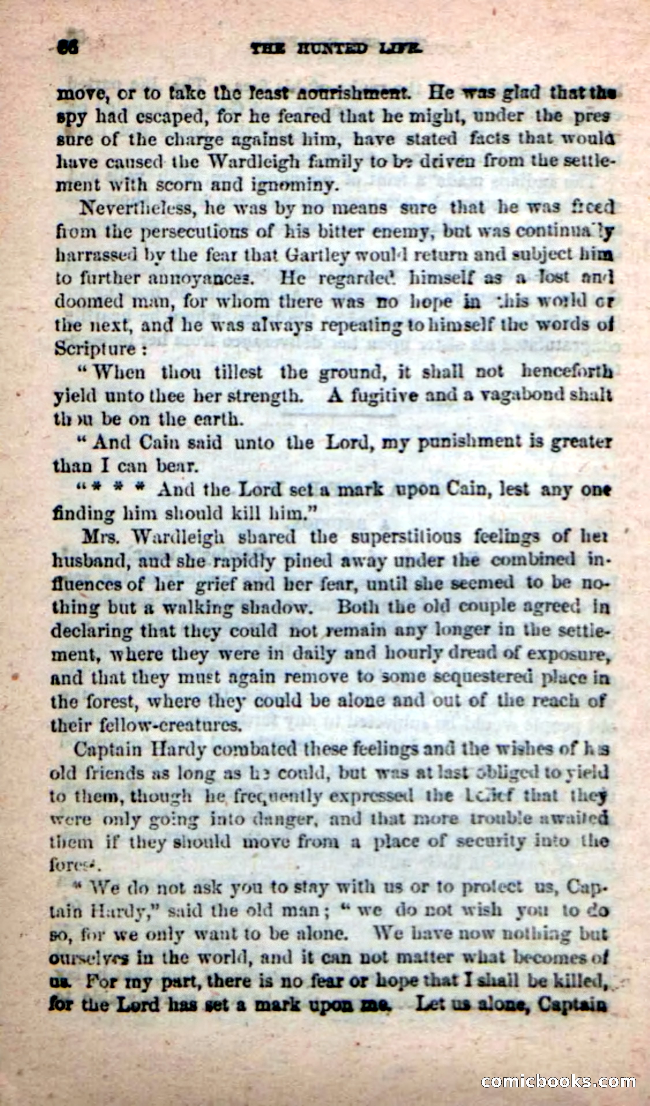 Beadle's New Dime Novels: The Hunted Life — page 82 of 100
