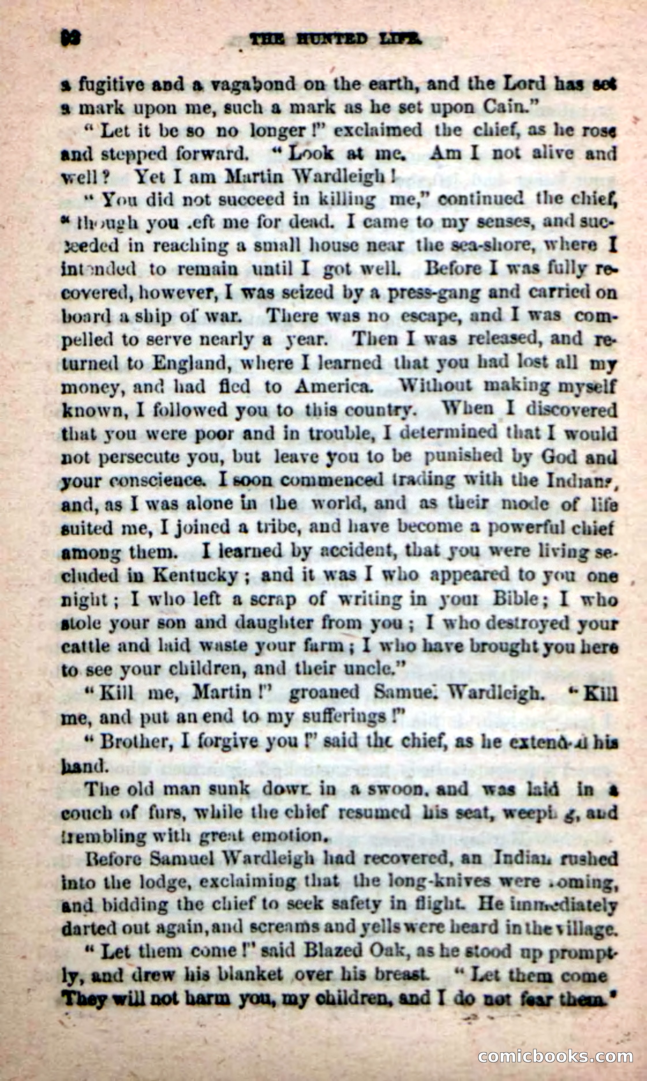 Beadle's New Dime Novels: The Hunted Life — page 88 of 100