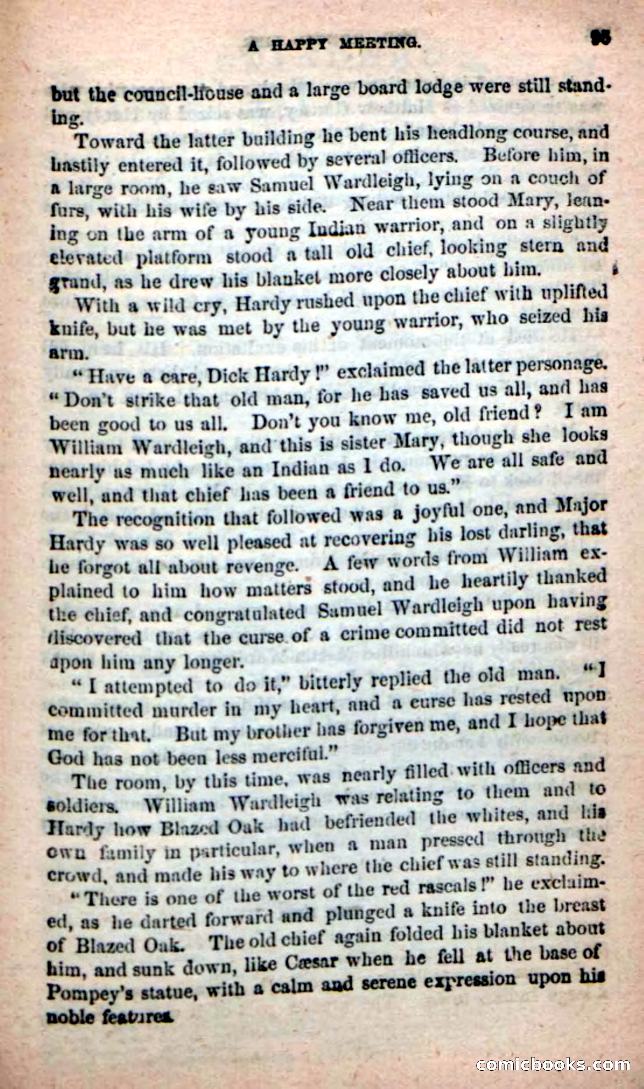 Beadle's New Dime Novels: The Hunted Life — page 91 of 100