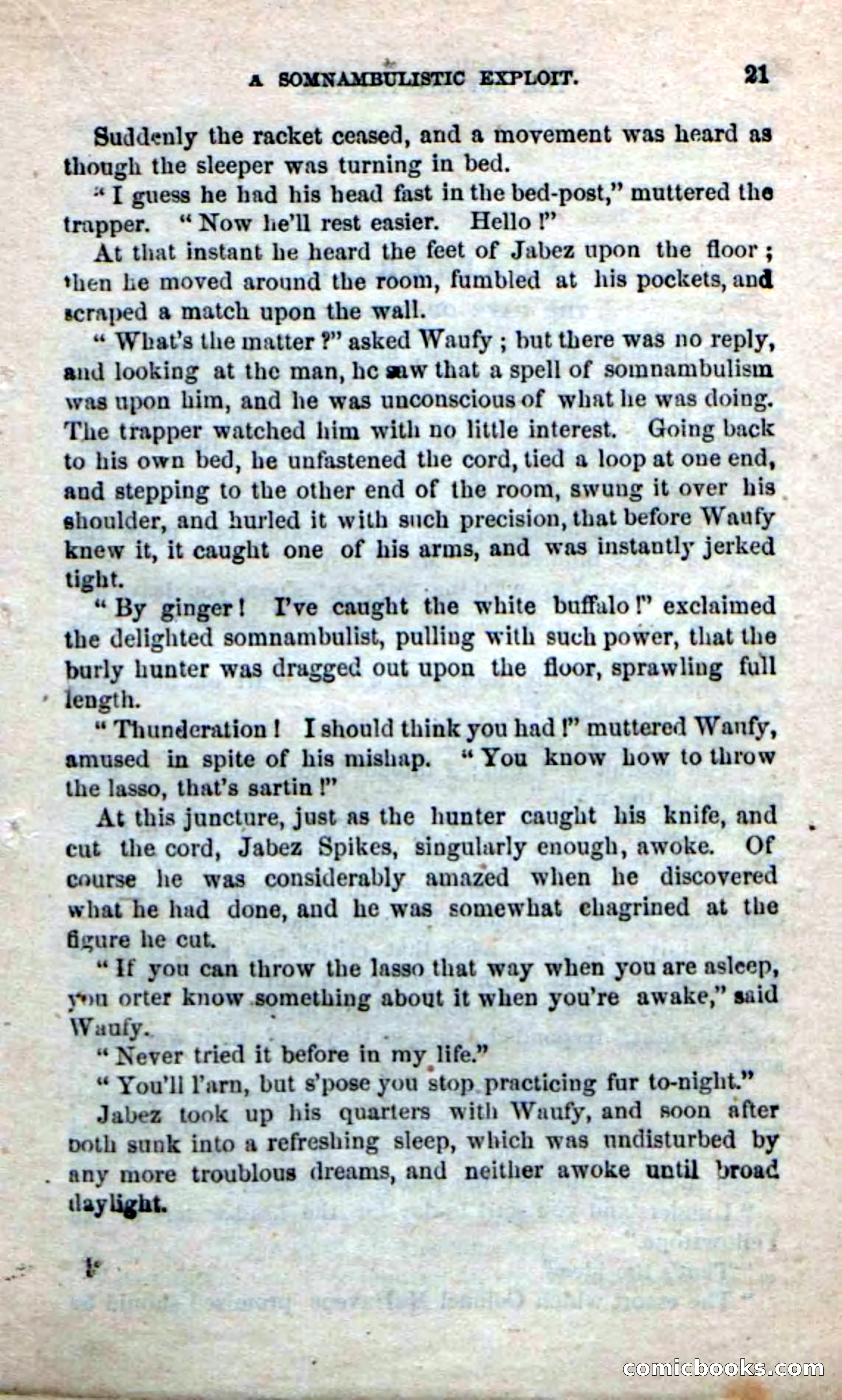 Beadle's New Dime Novels: The Buffalo-Trapper — page 19 of 100