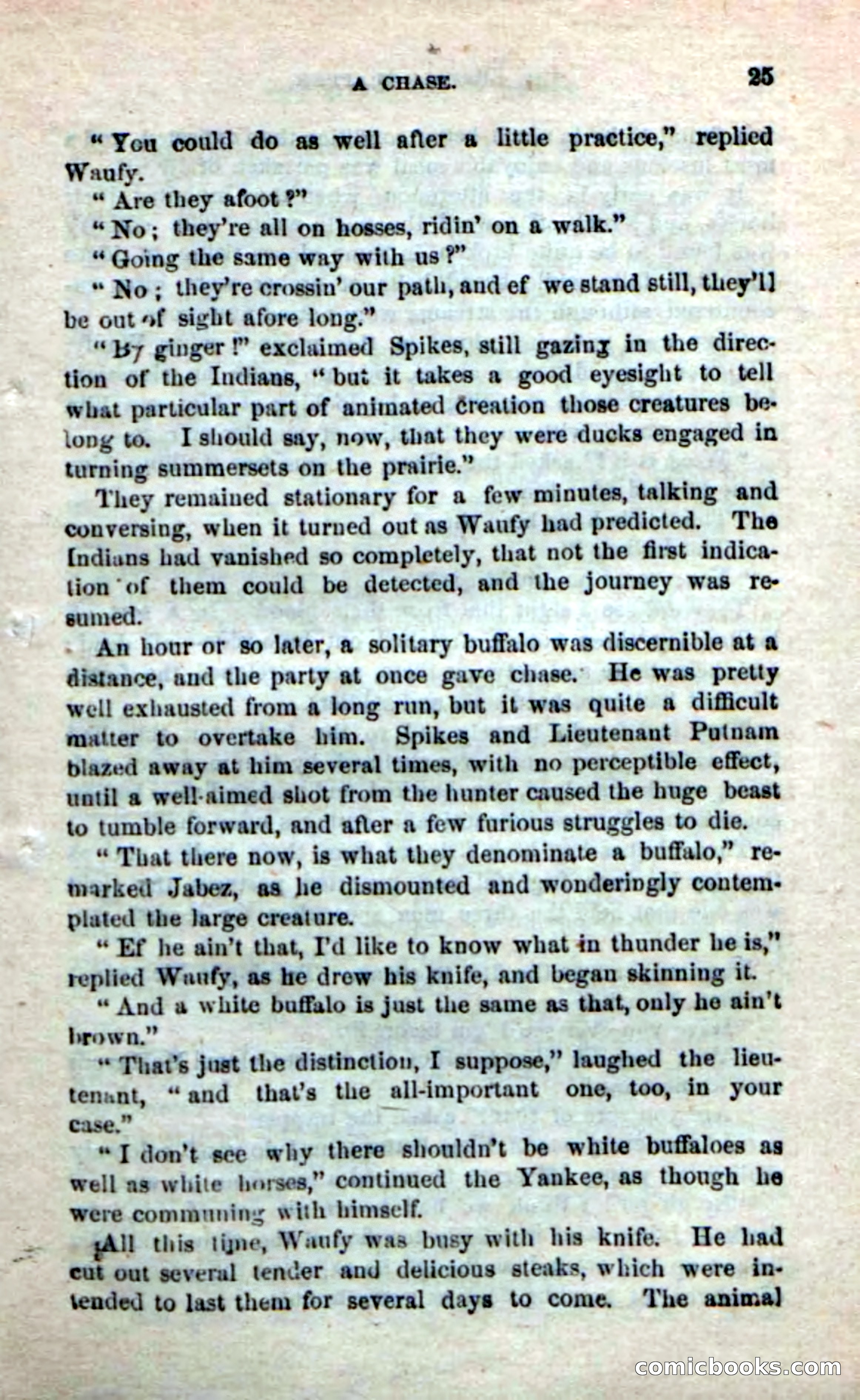 Beadle's New Dime Novels: The Buffalo-Trapper — page 23 of 100
