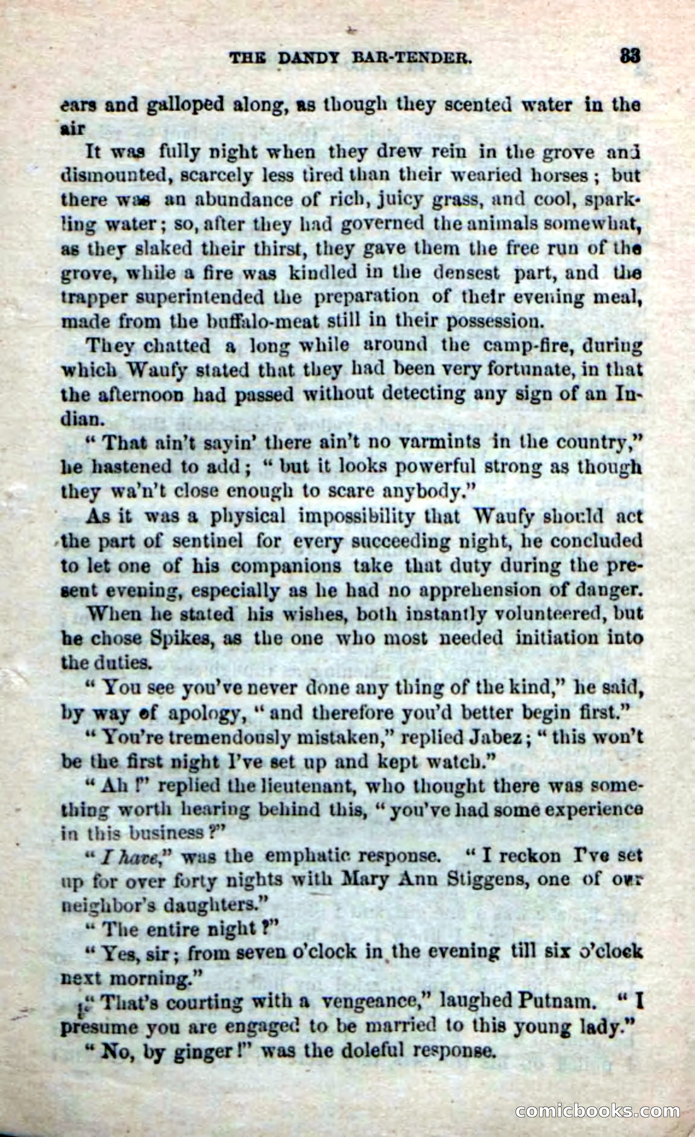Beadle's New Dime Novels: The Buffalo-Trapper — page 31 of 100