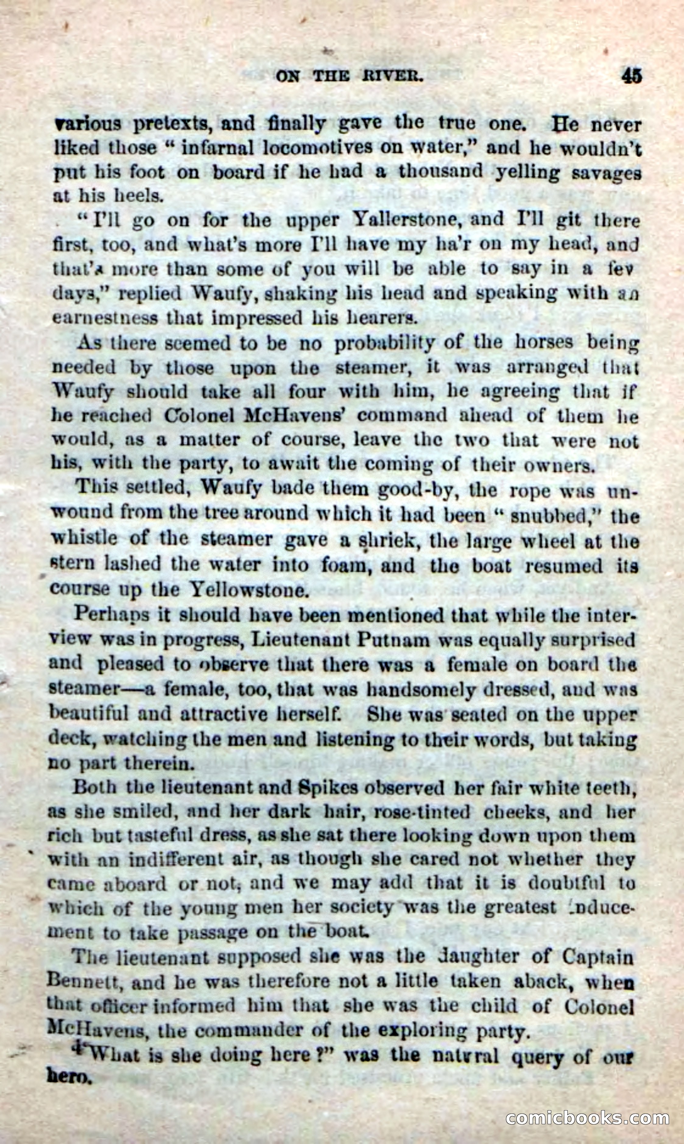 Beadle's New Dime Novels: The Buffalo-Trapper — page 43 of 100