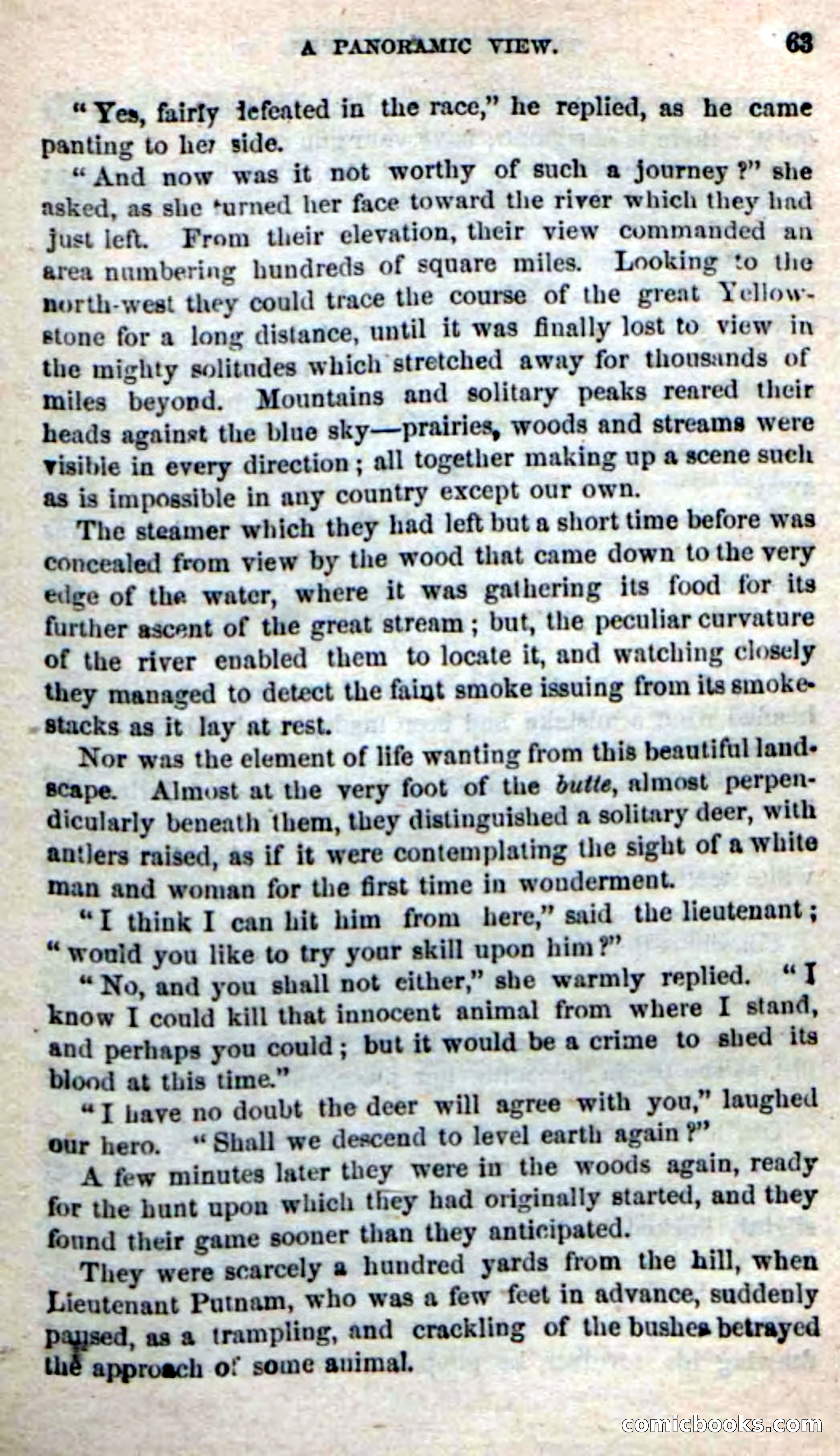 Beadle's New Dime Novels: The Buffalo-Trapper — page 61 of 100