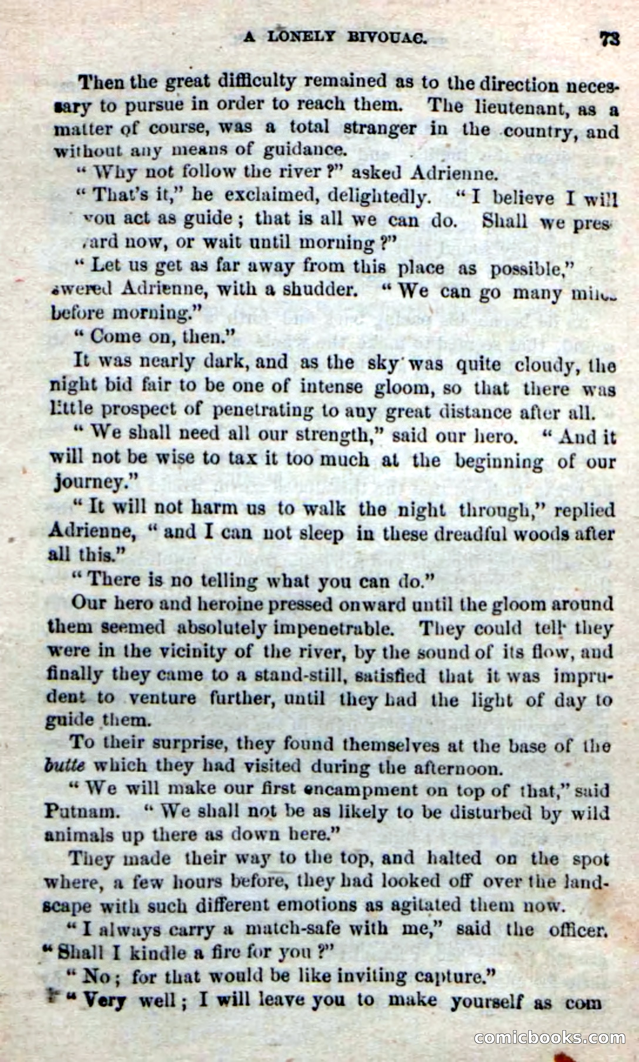 Beadle's New Dime Novels: The Buffalo-Trapper — page 71 of 100