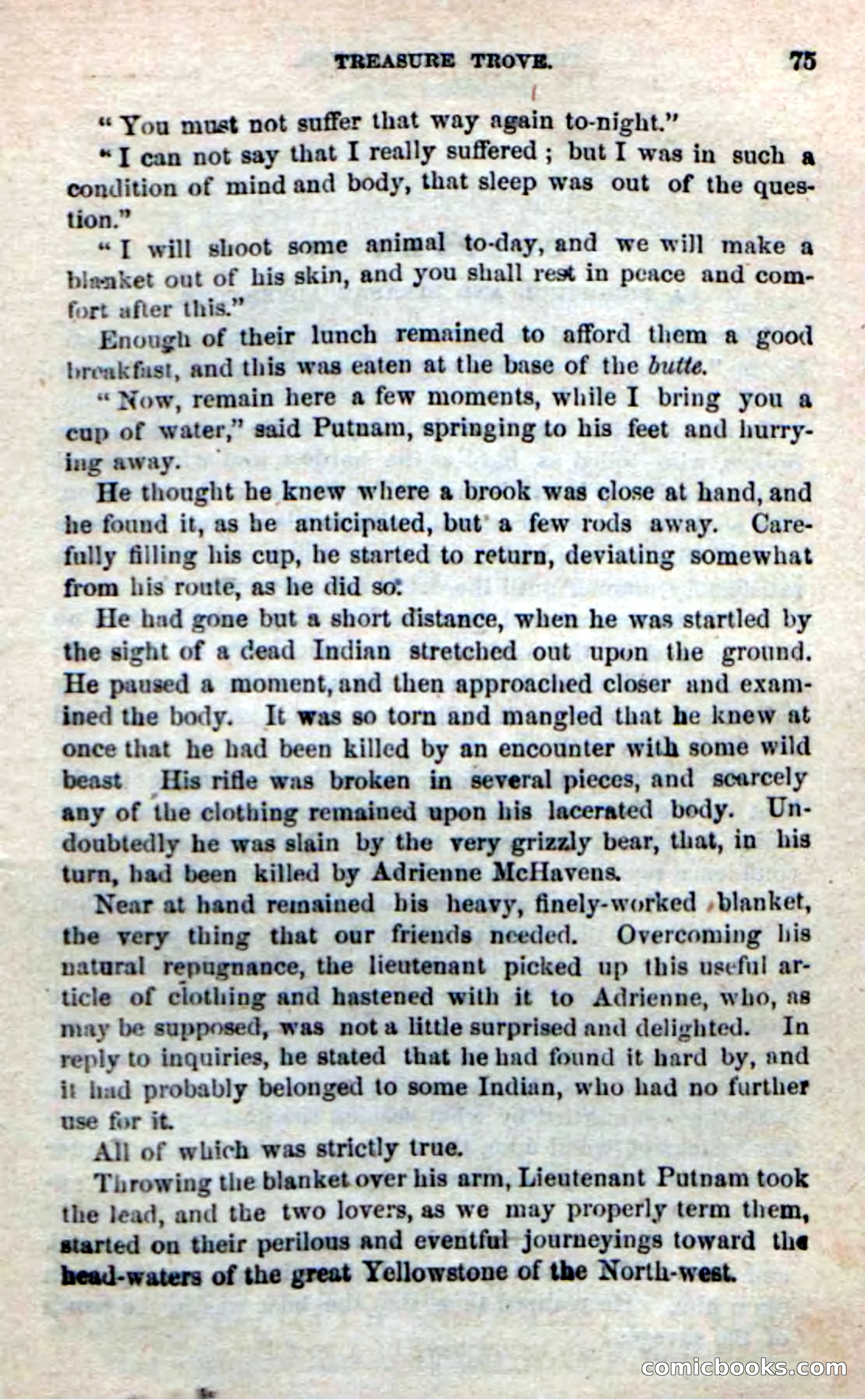 Beadle's New Dime Novels: The Buffalo-Trapper — page 73 of 100