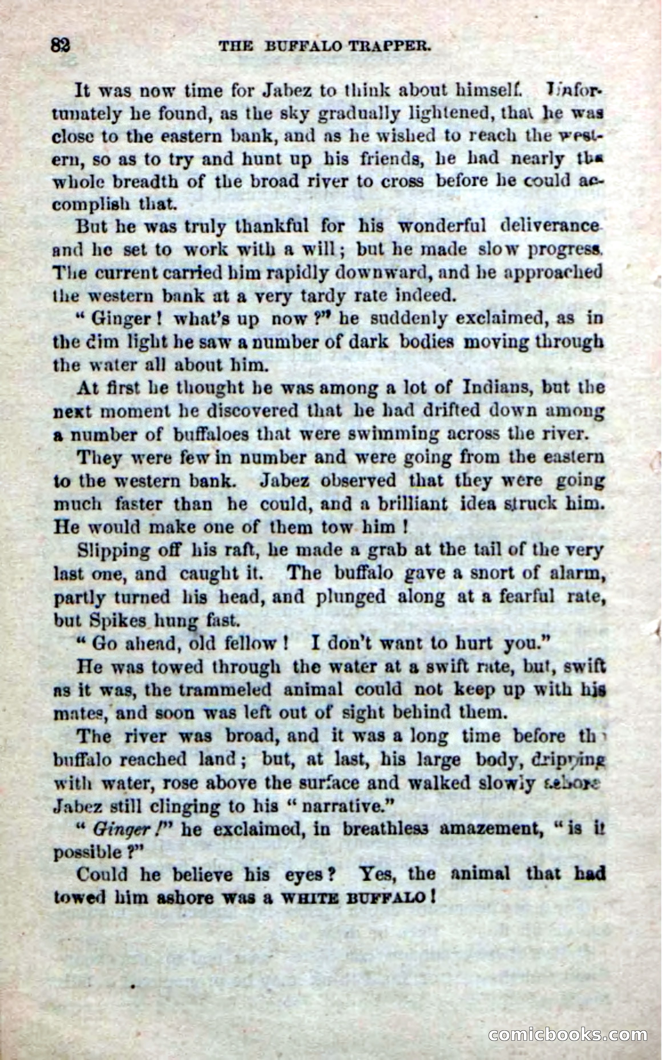 Beadle's New Dime Novels: The Buffalo-Trapper — page 80 of 100