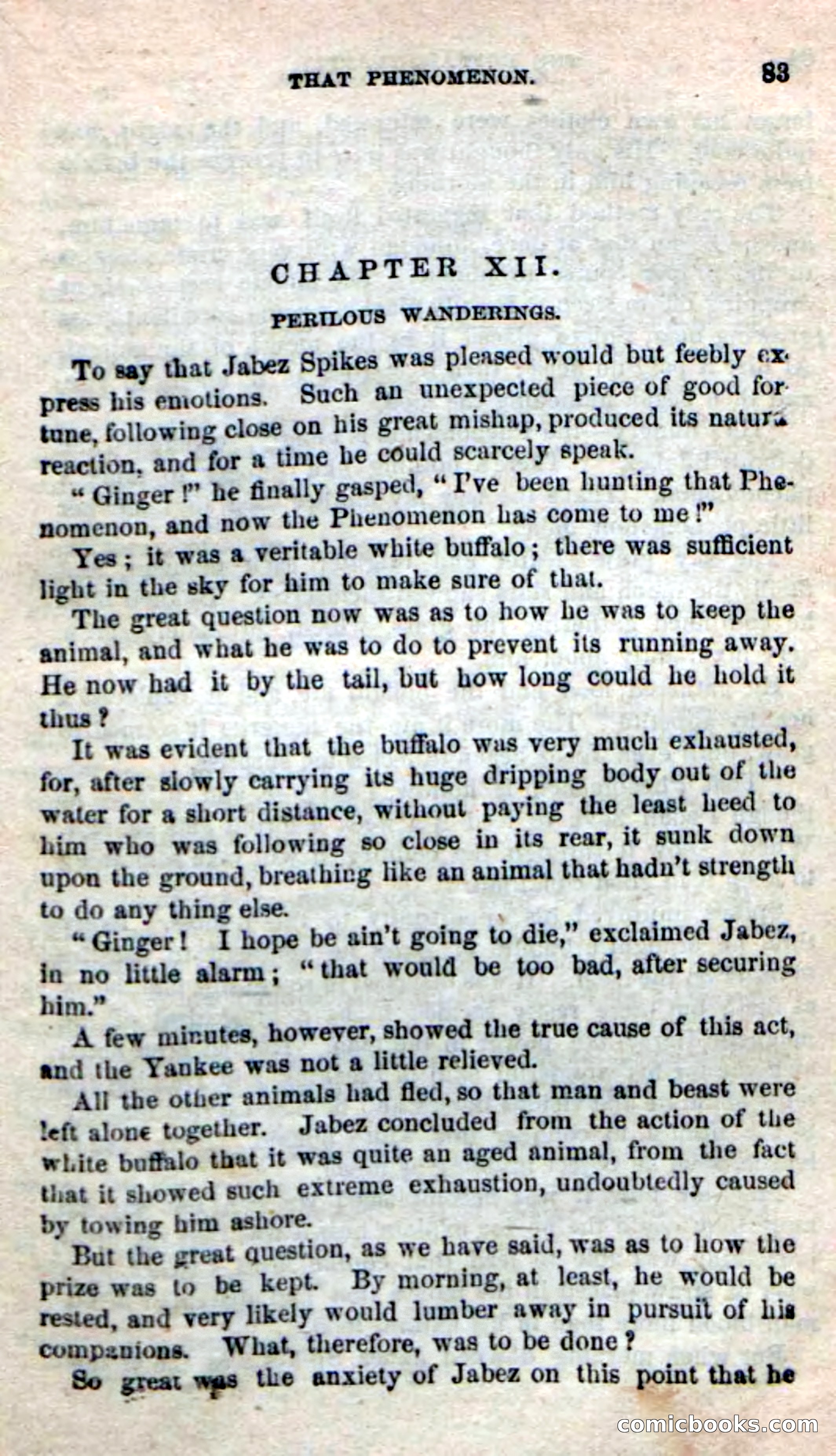 Beadle's New Dime Novels: The Buffalo-Trapper — page 81 of 100