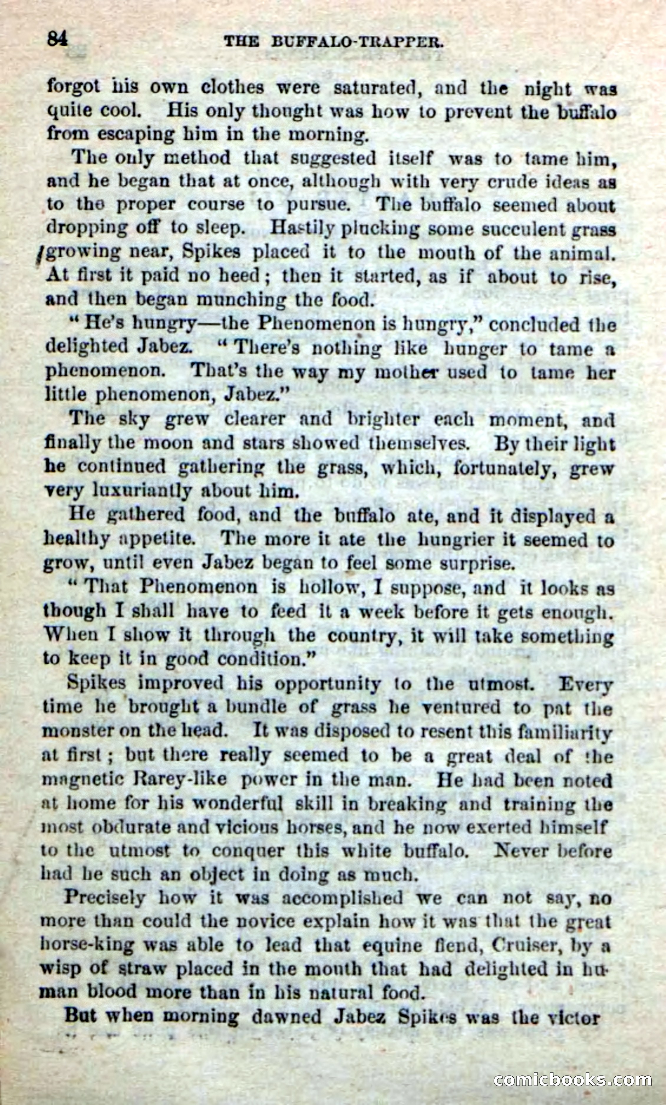Beadle's New Dime Novels: The Buffalo-Trapper — page 82 of 100