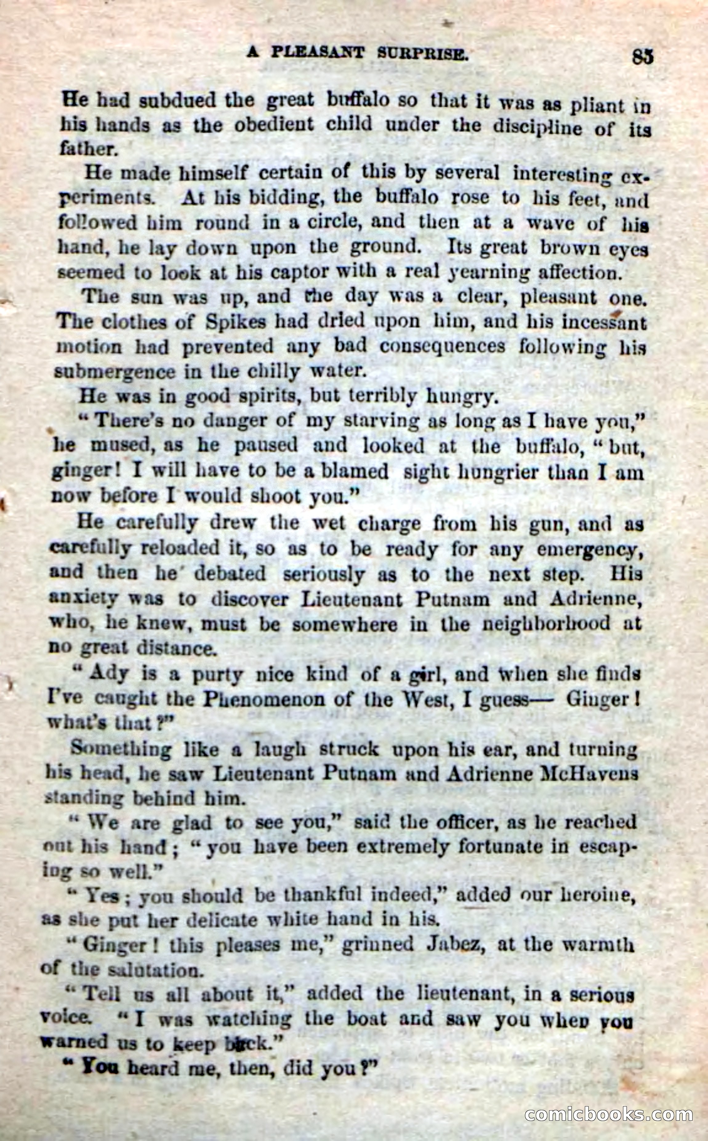 Beadle's New Dime Novels: The Buffalo-Trapper — page 83 of 100