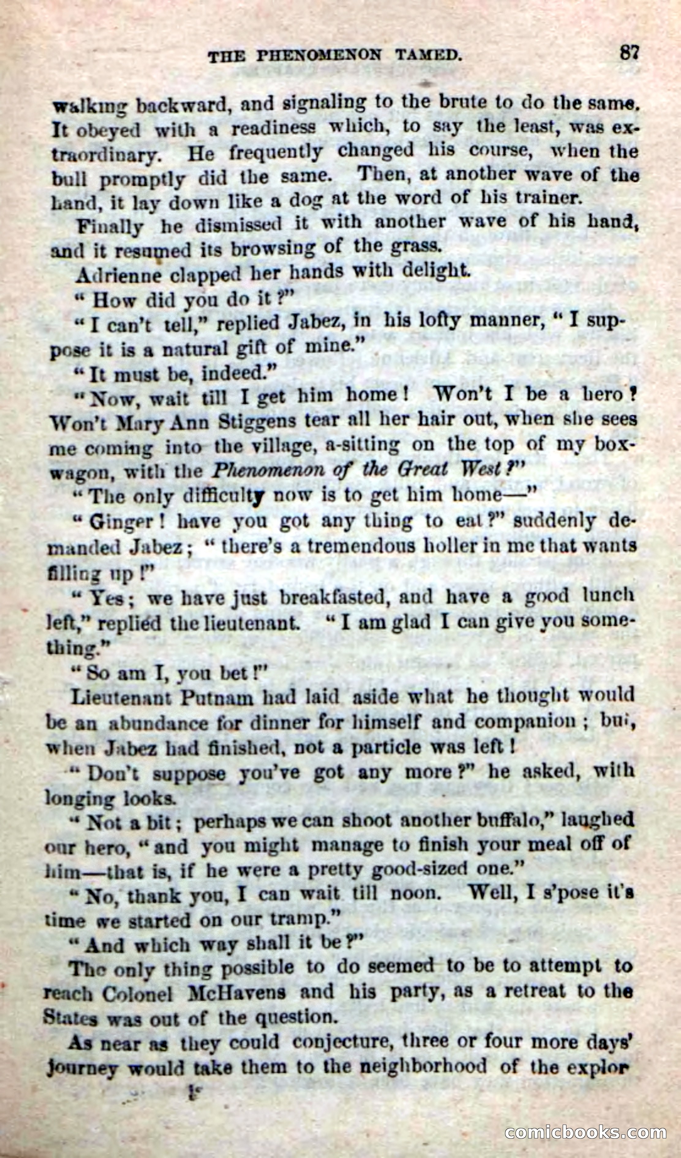 Beadle's New Dime Novels: The Buffalo-Trapper — page 85 of 100