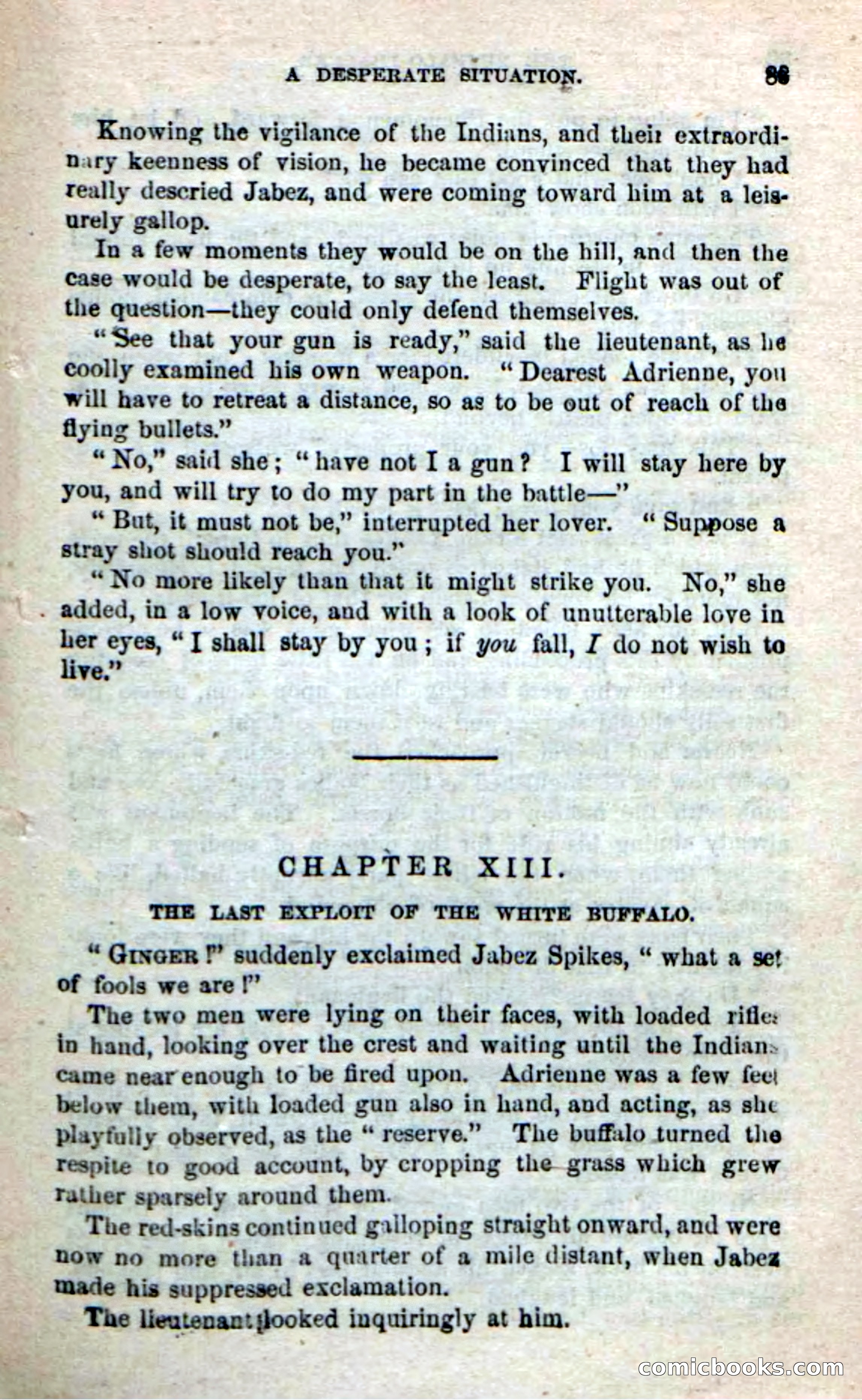Beadle's New Dime Novels: The Buffalo-Trapper — page 87 of 100
