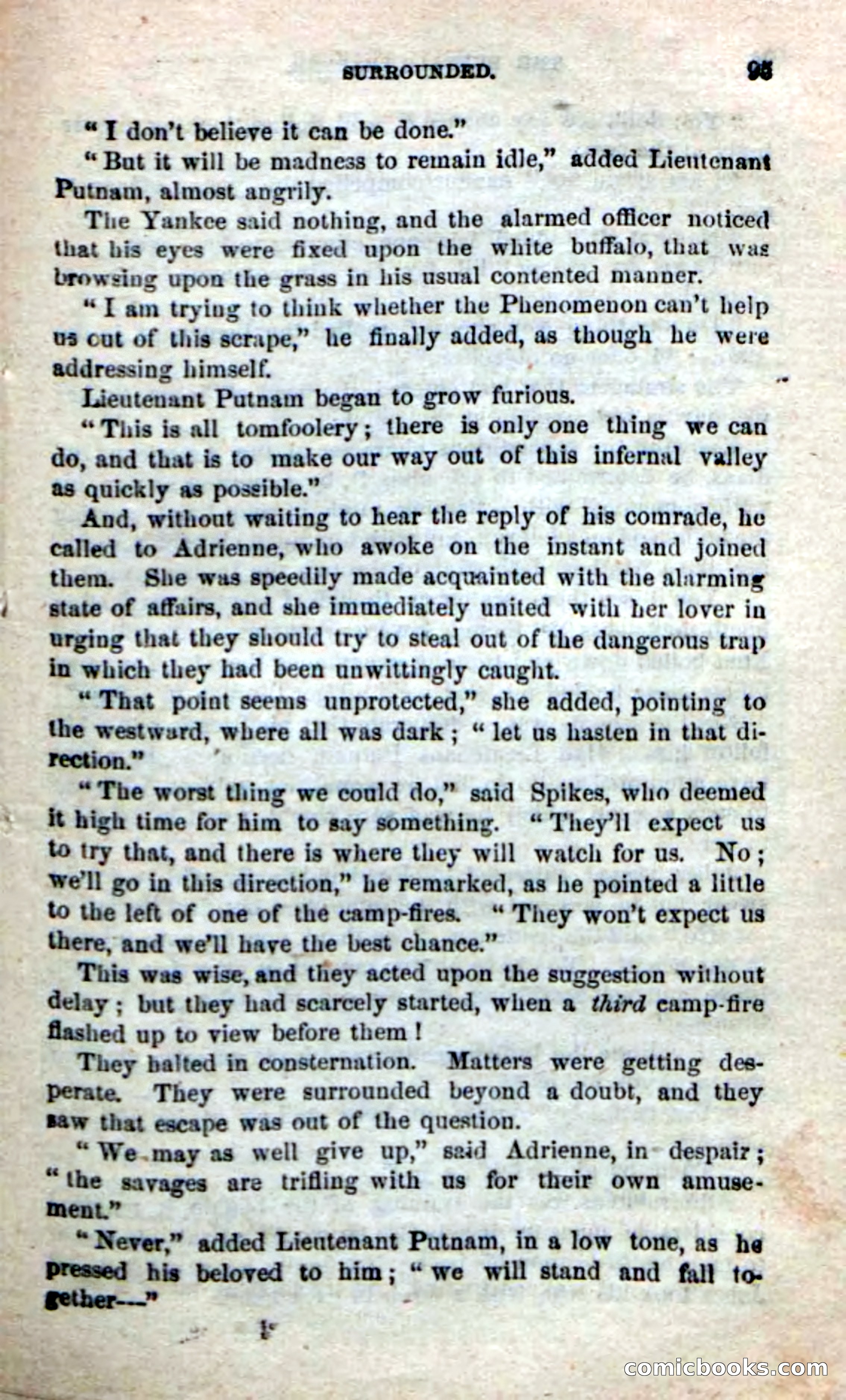 Beadle's New Dime Novels: The Buffalo-Trapper — page 93 of 100