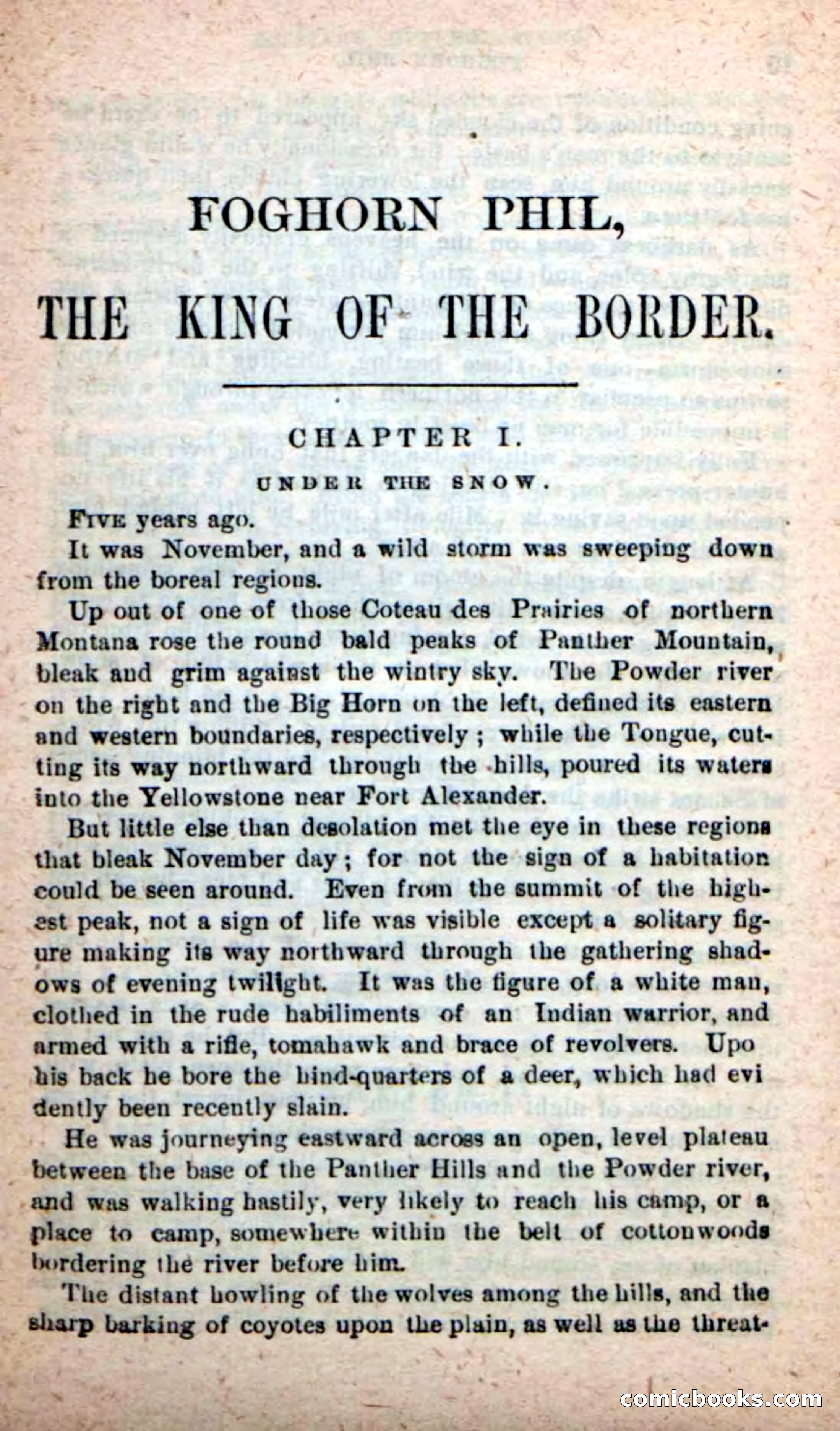 Beadle's New Dime Novels: Foghorn Phil — page 5 of 120