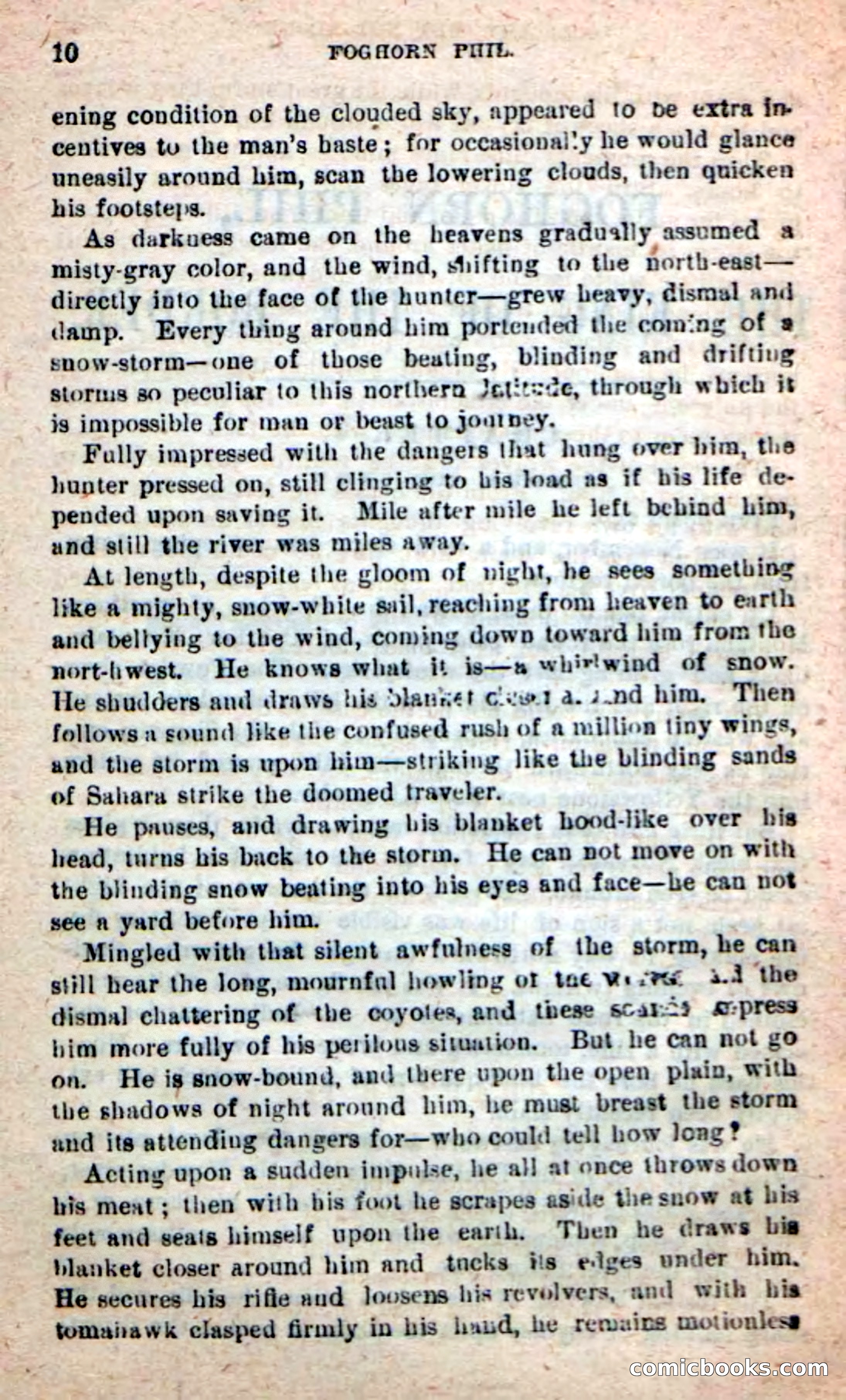Beadle's New Dime Novels: Foghorn Phil — page 6 of 120