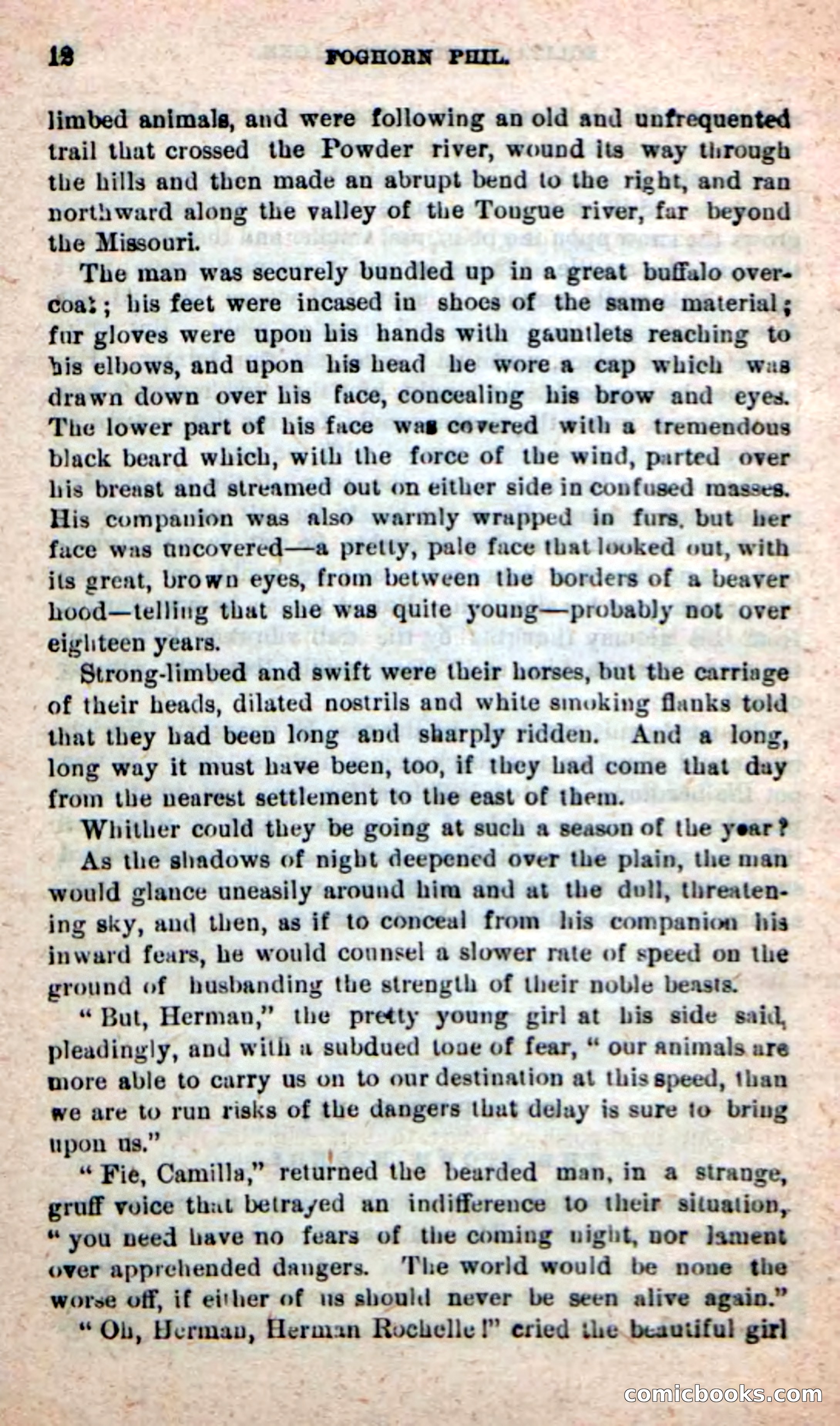 Beadle's New Dime Novels: Foghorn Phil — page 8 of 120