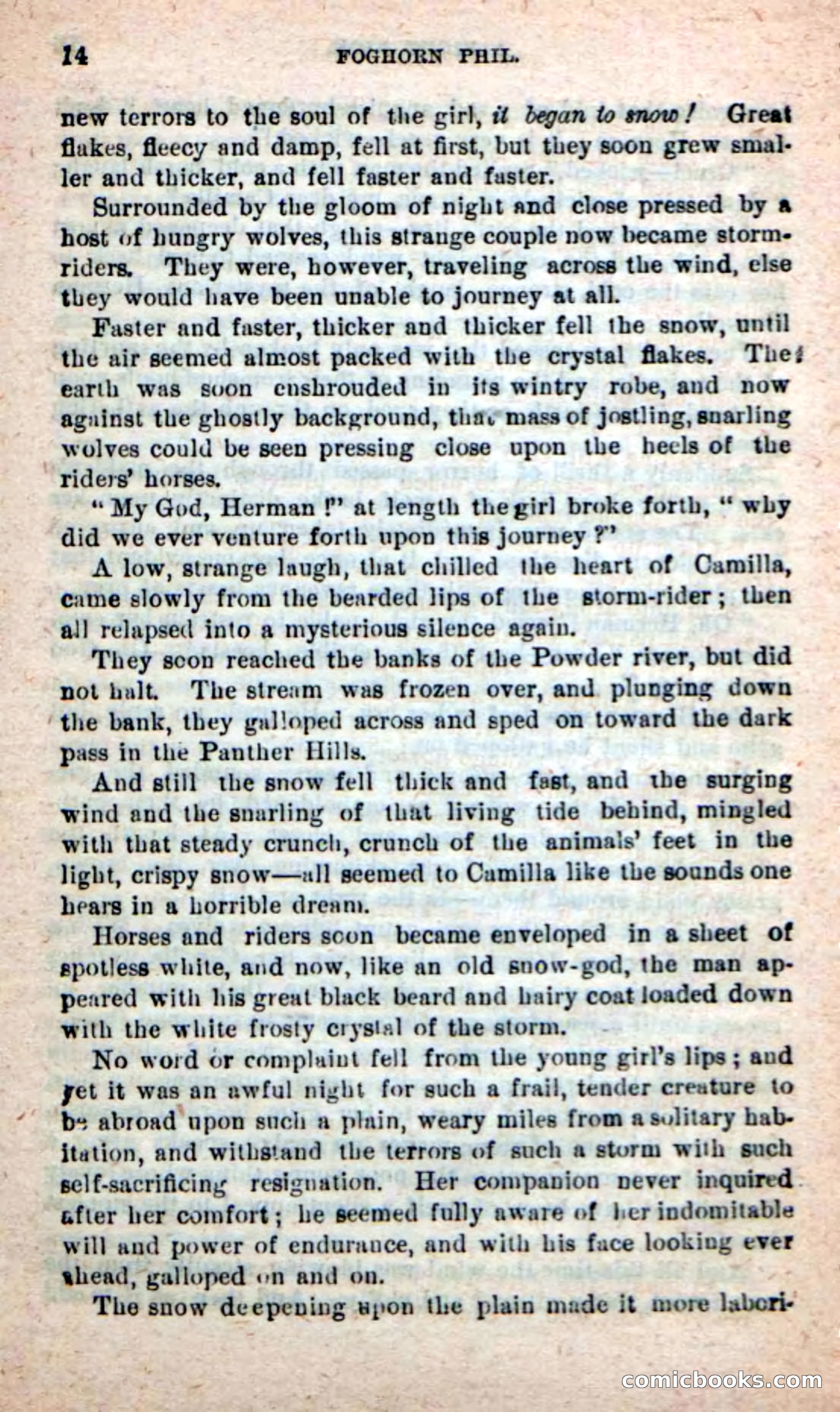 Beadle's New Dime Novels: Foghorn Phil — page 10 of 120